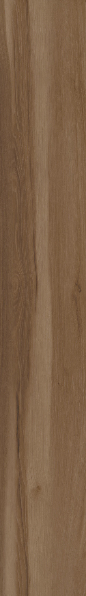 BLENDED CARAWAY 1TO1