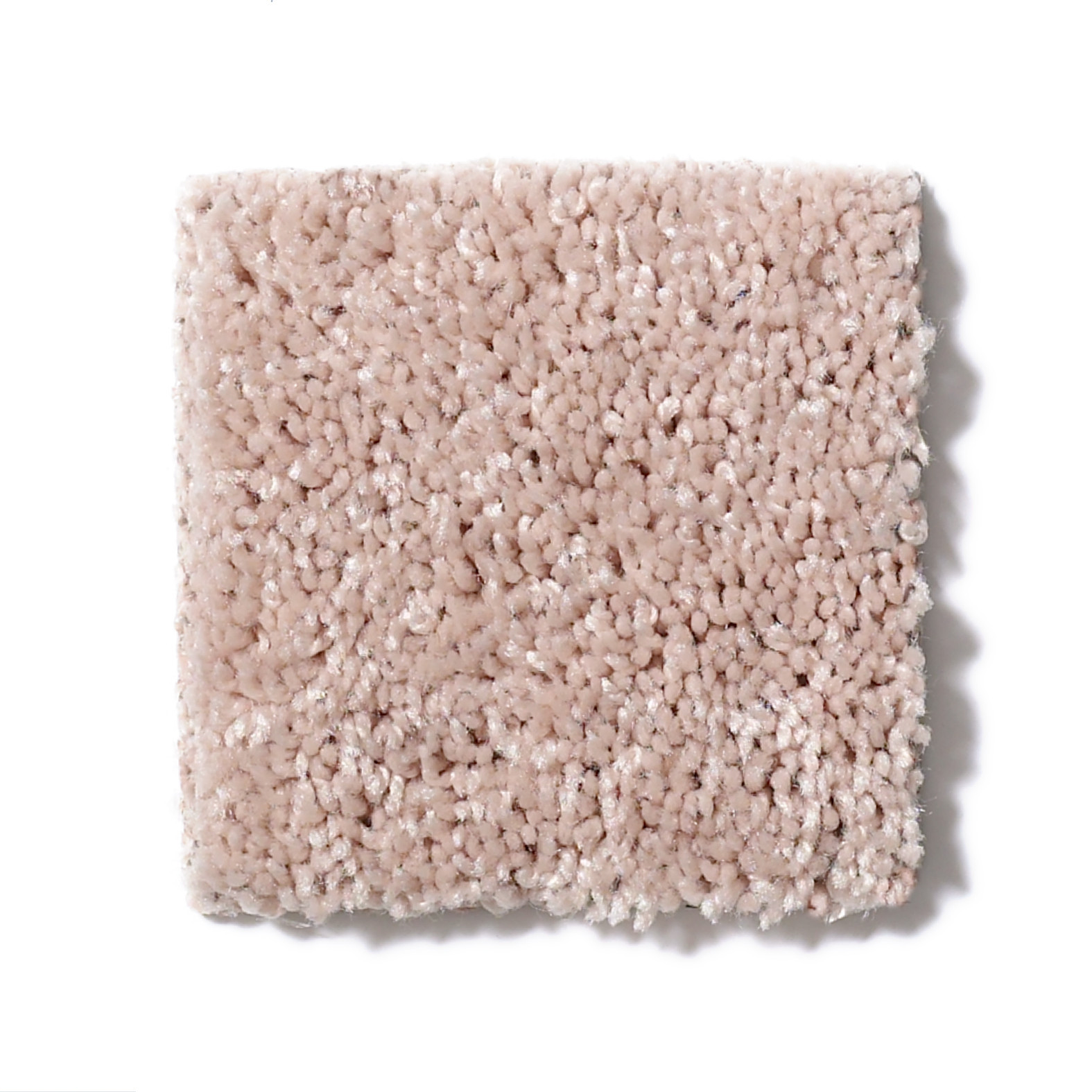 ROYAL PORTRUSH II 12' FLAX SEED SWATCH