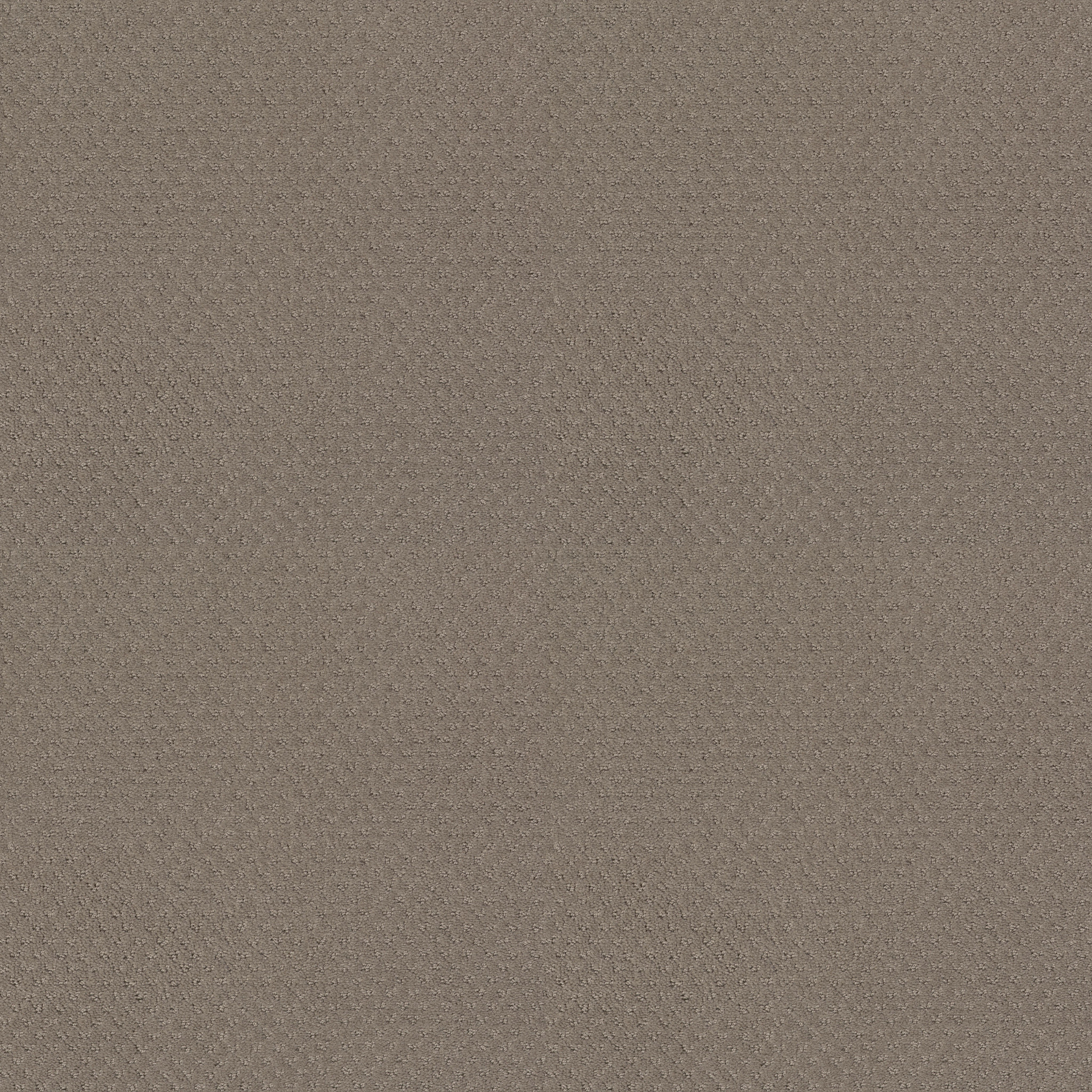 DEL VISTA KOALA MAIN