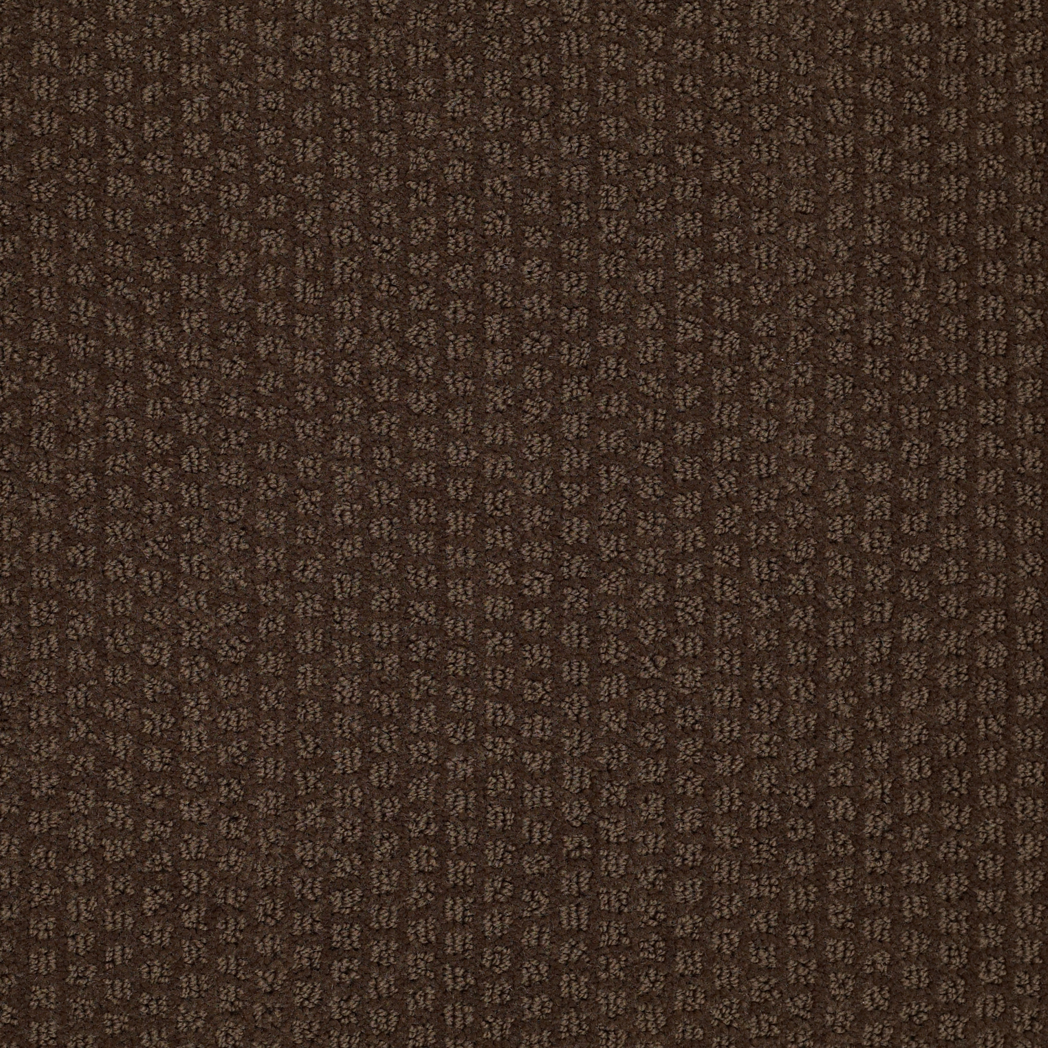 PACIFIC TRAILS MOCHA CHIP MAIN