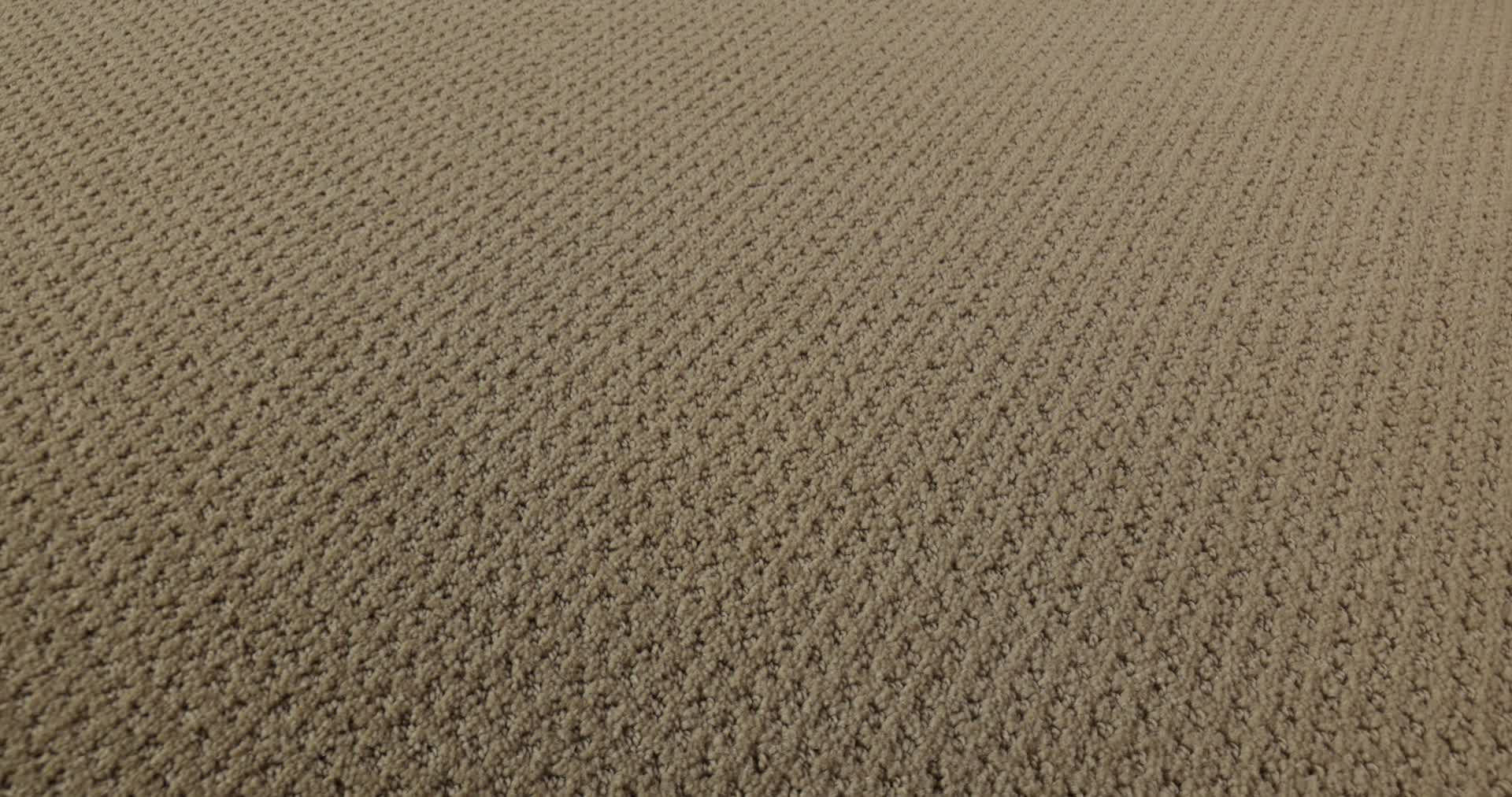 SQUARE ONE MUSHROOM 360PROD