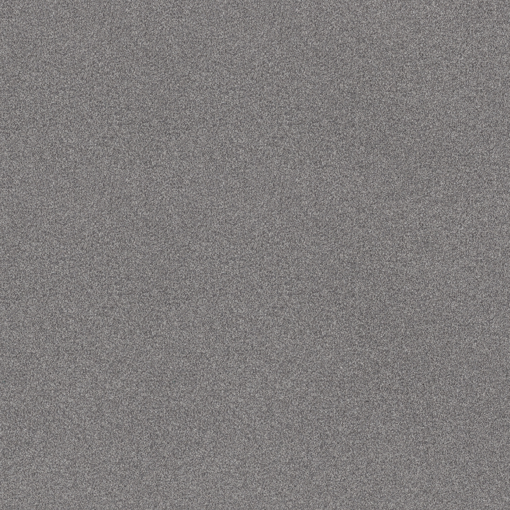 TONAL COMFORT I DOLPHIN SIGHTING MAIN