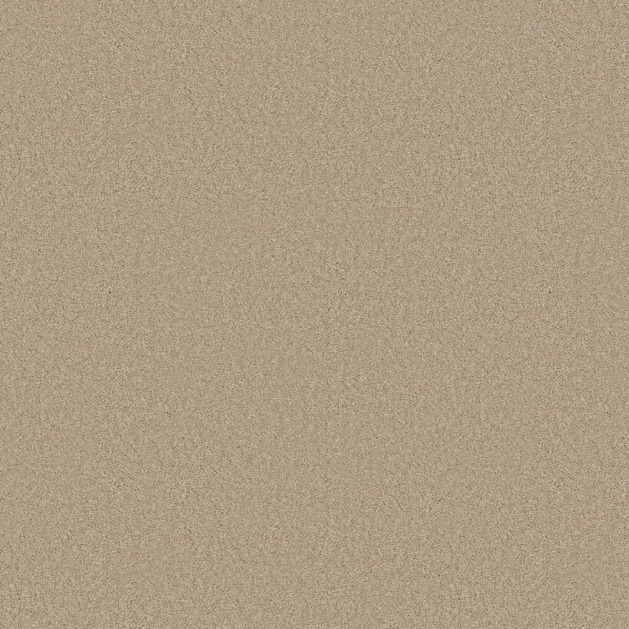 た*つ様 asobi FACTORY Graceful NEO Elegant Beauty - 100% ANSO® High Performance Nylon in Buff