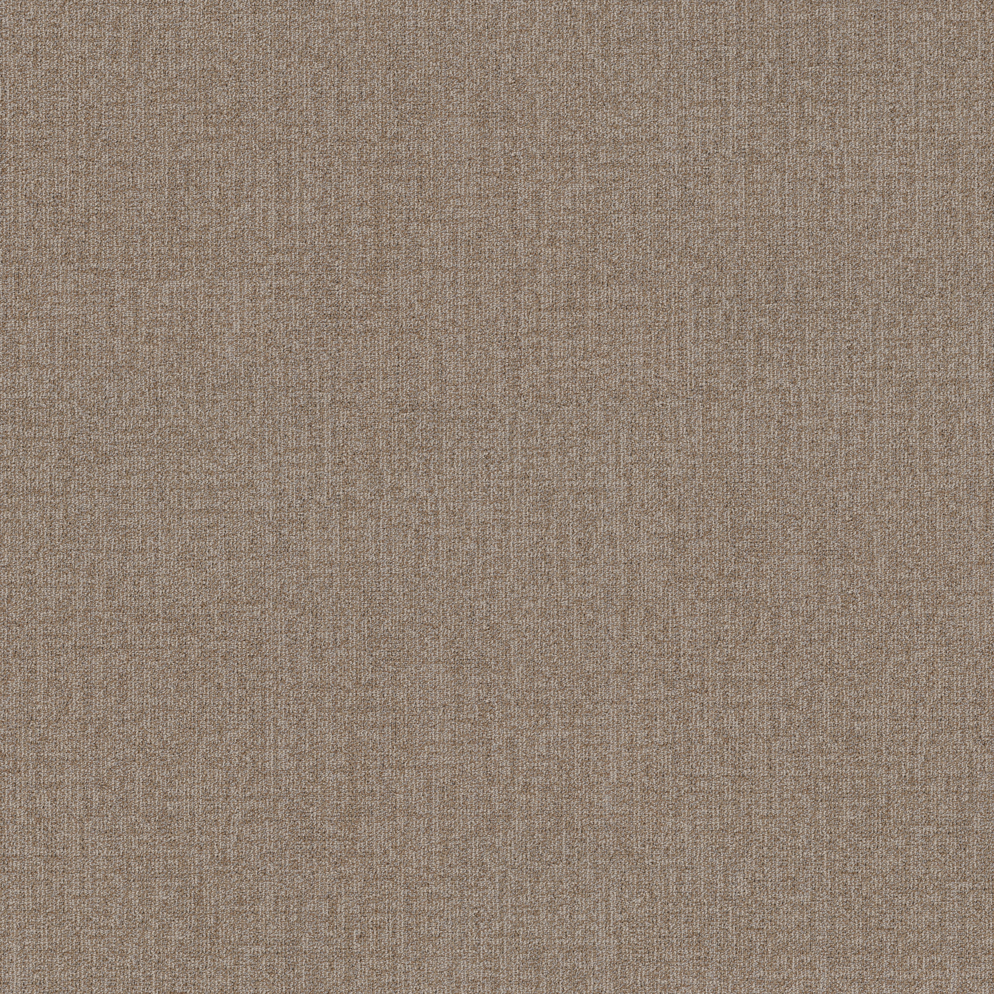 MUTED-RHYTHMS-BROADLOOM-55016-FLAXEN-00202-main-image