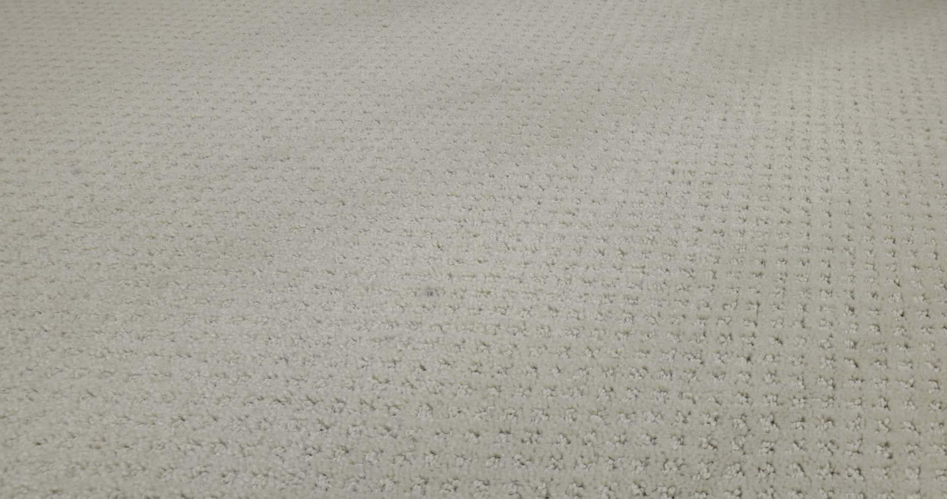 MAINSTAY FOSSIL PATH 360PROD