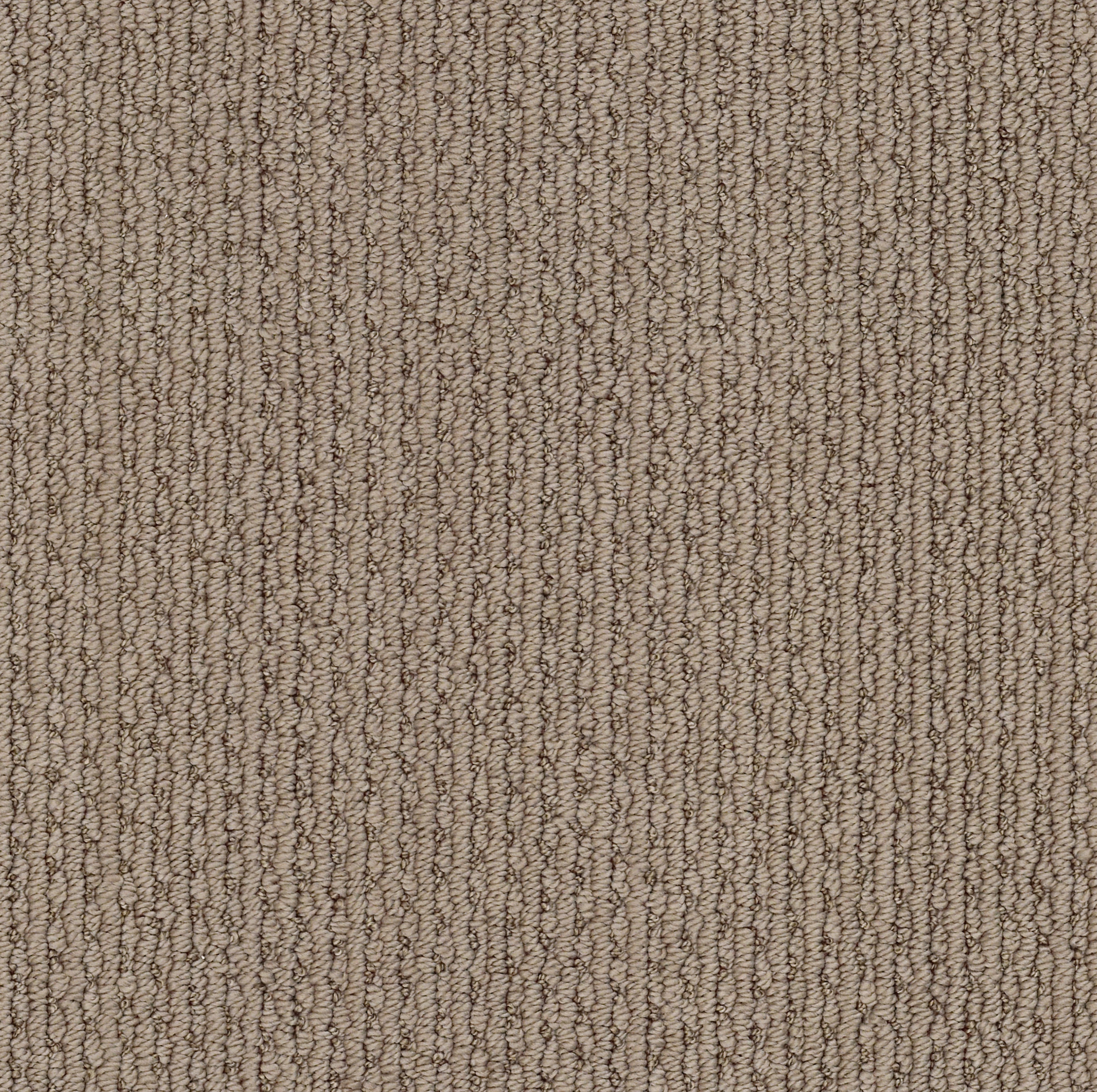 Chapel Ridge - Sable Carpet | Shaw Floors