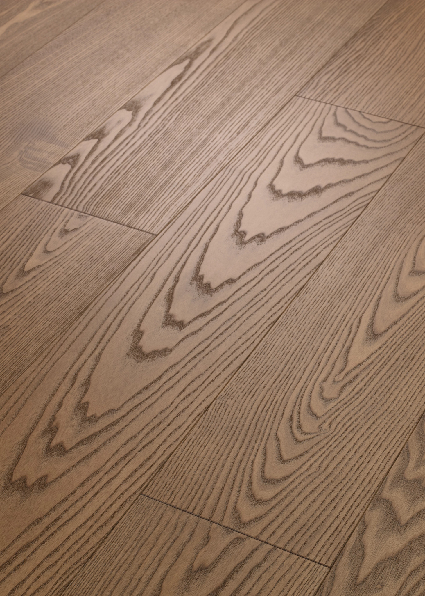 EUROPEAN ASH BISCOTTI ANGLED