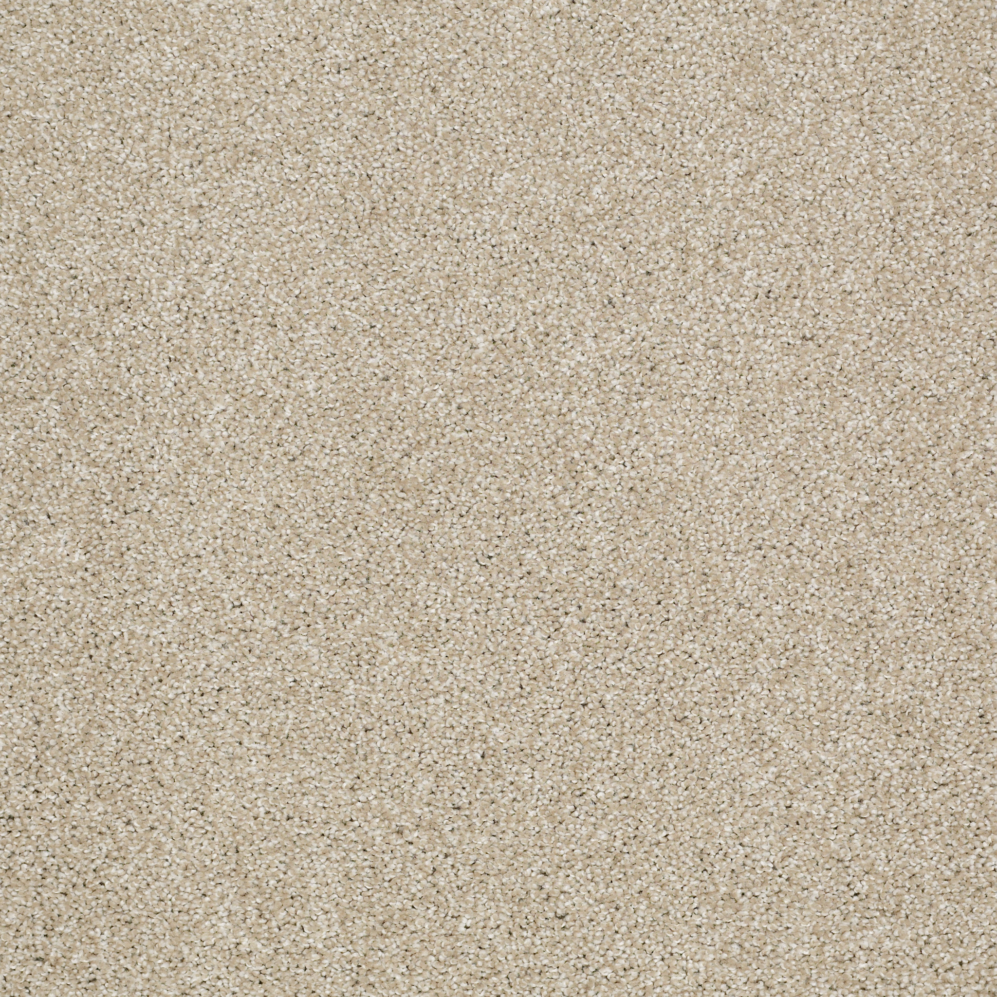 KICKING-BACK-54838-MOROCCO-SAND-00104-main-image