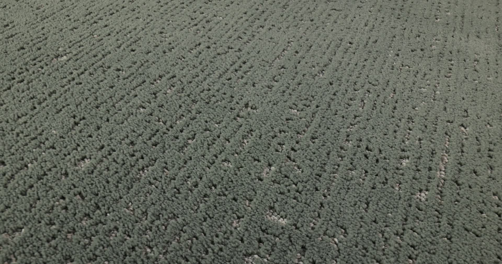 CURATED TONE BLUE REFRESHING 360PROD