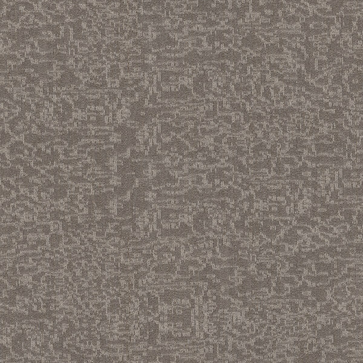 Philadelphia Commercial MINDFUL MOVEMENT BROADLOOM — ABALONE