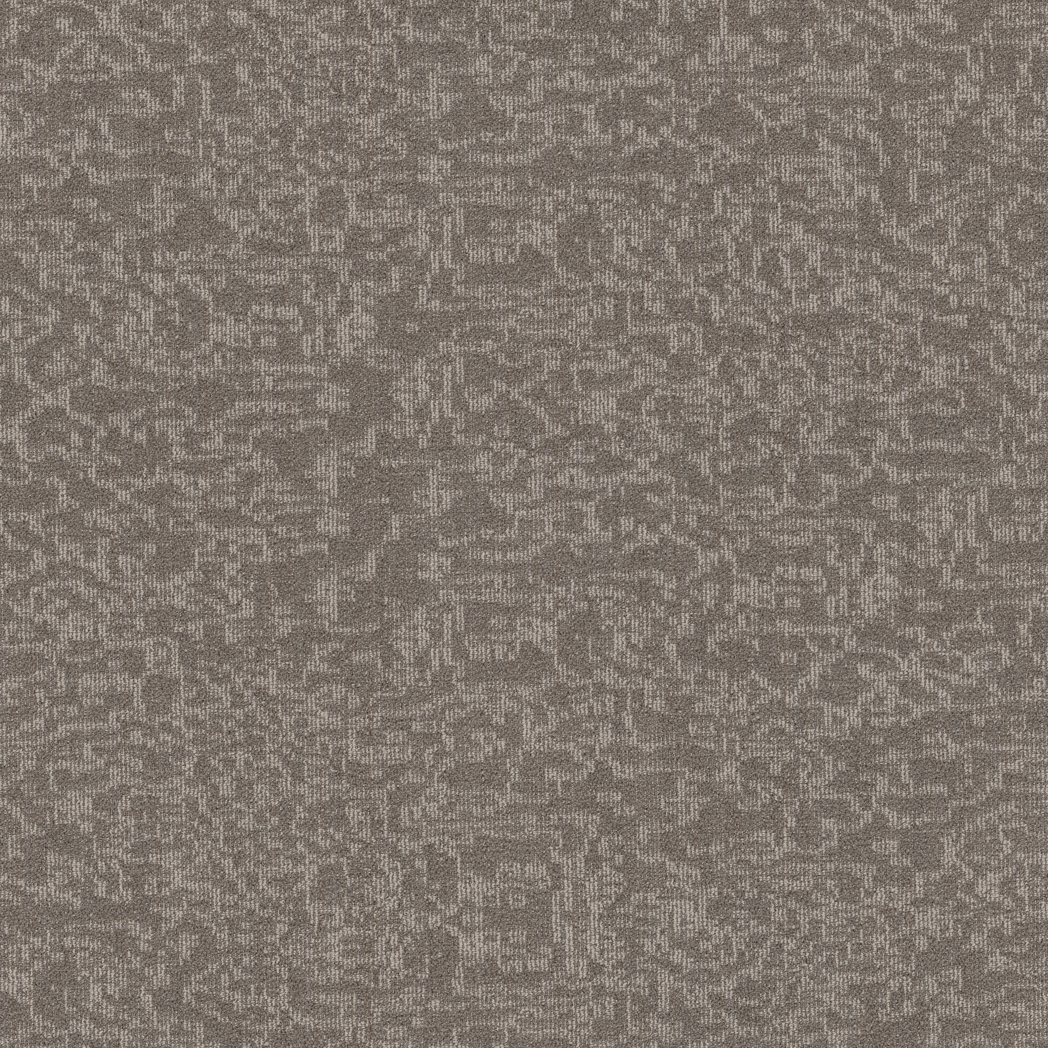 MINDFUL-MOVEMENT-BROADLOOM-55015-ABALONE-00502-main-image