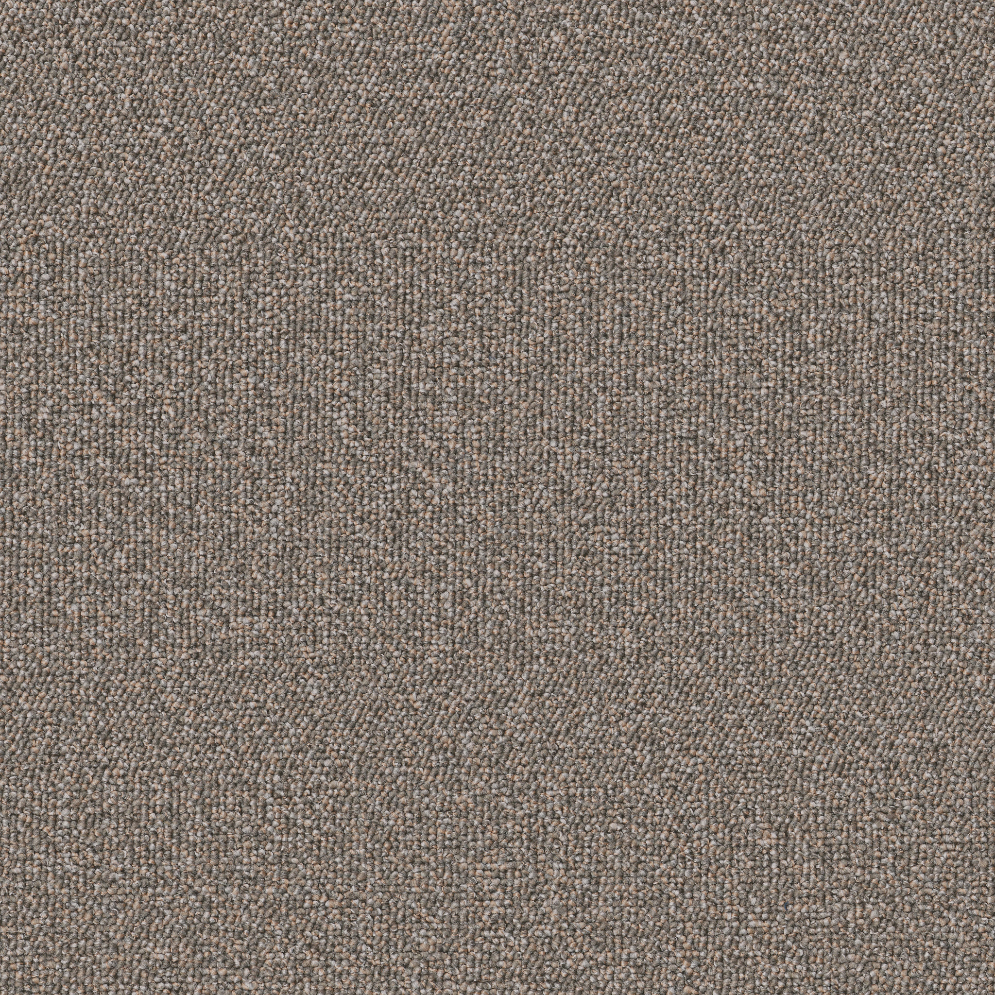 AVENUE-54989-KENNEDY-00702-main-image