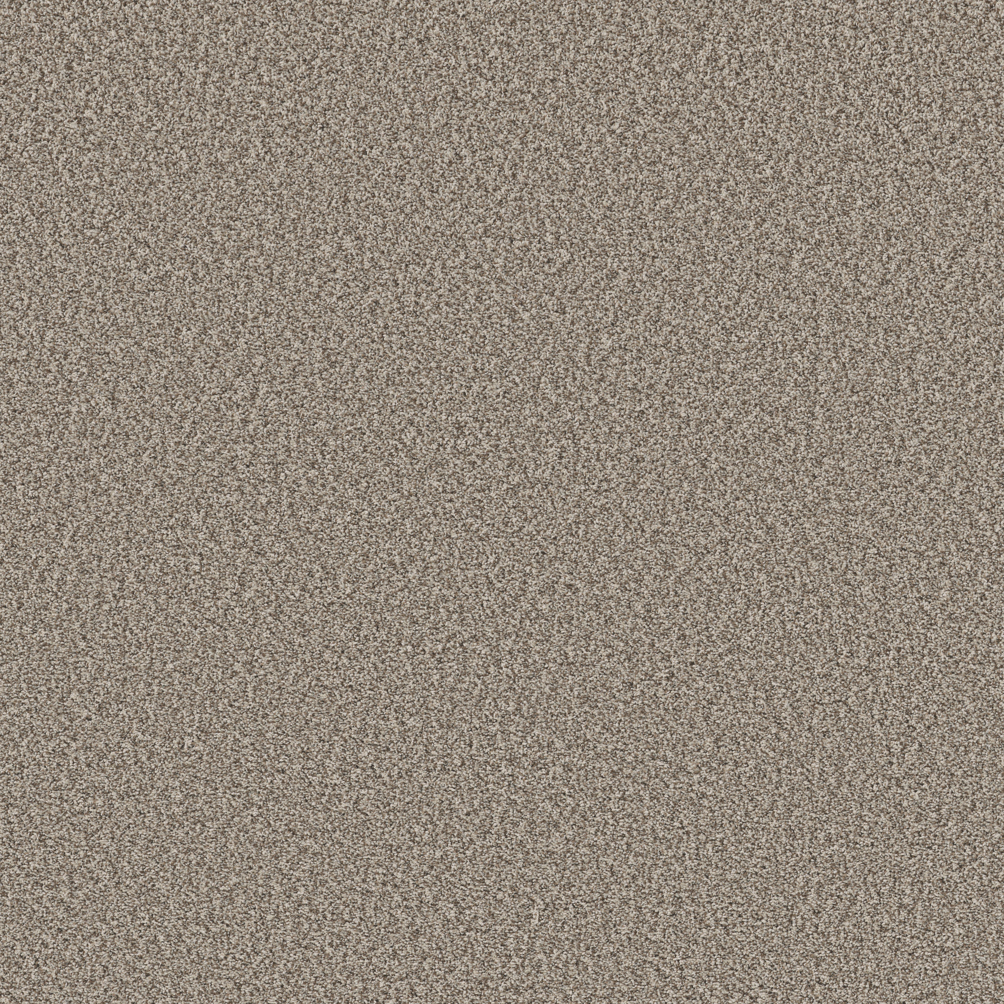 PRESCOTT VALLEY PASHMINA MAIN