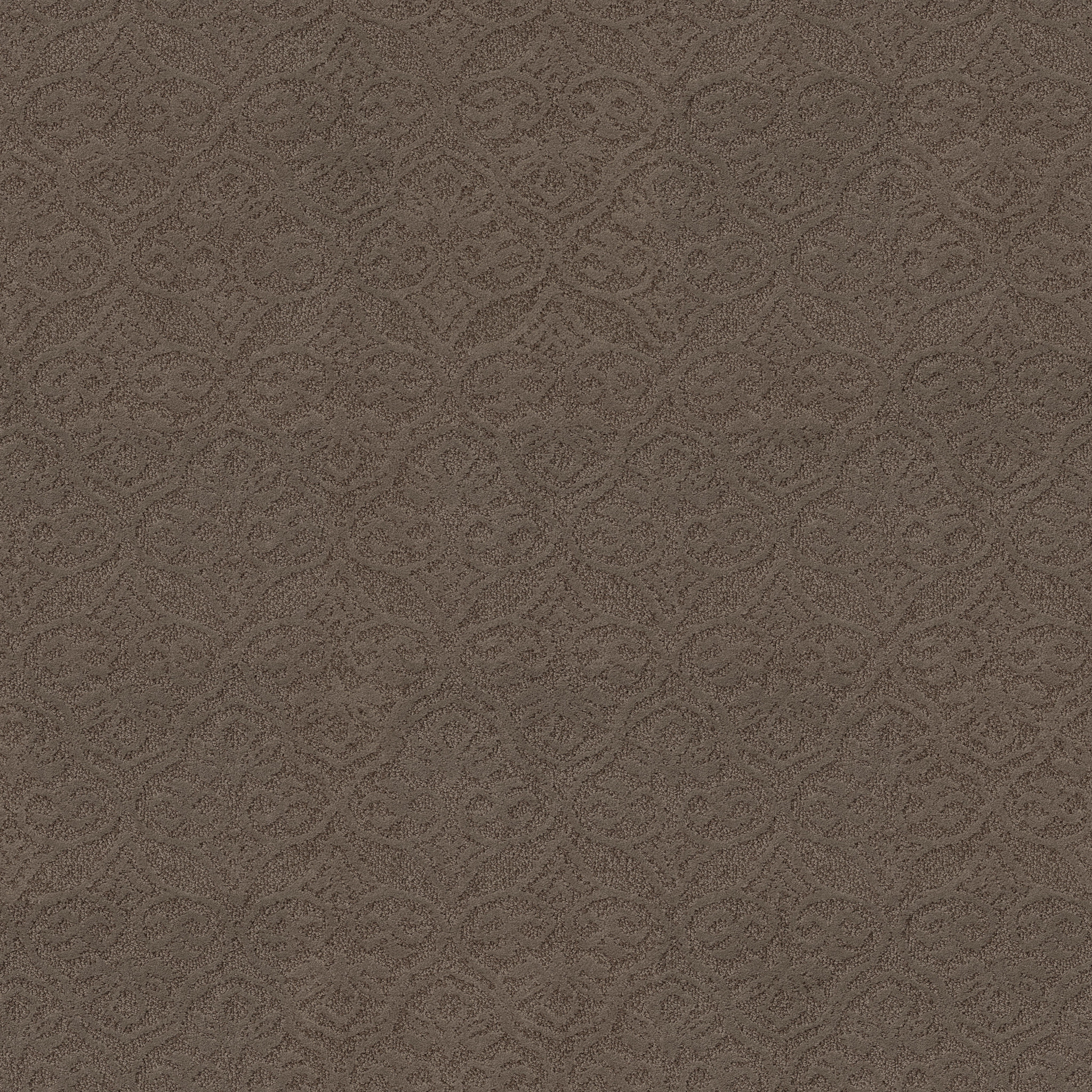 MODERN AMENITIES CHINCHILLA MAIN