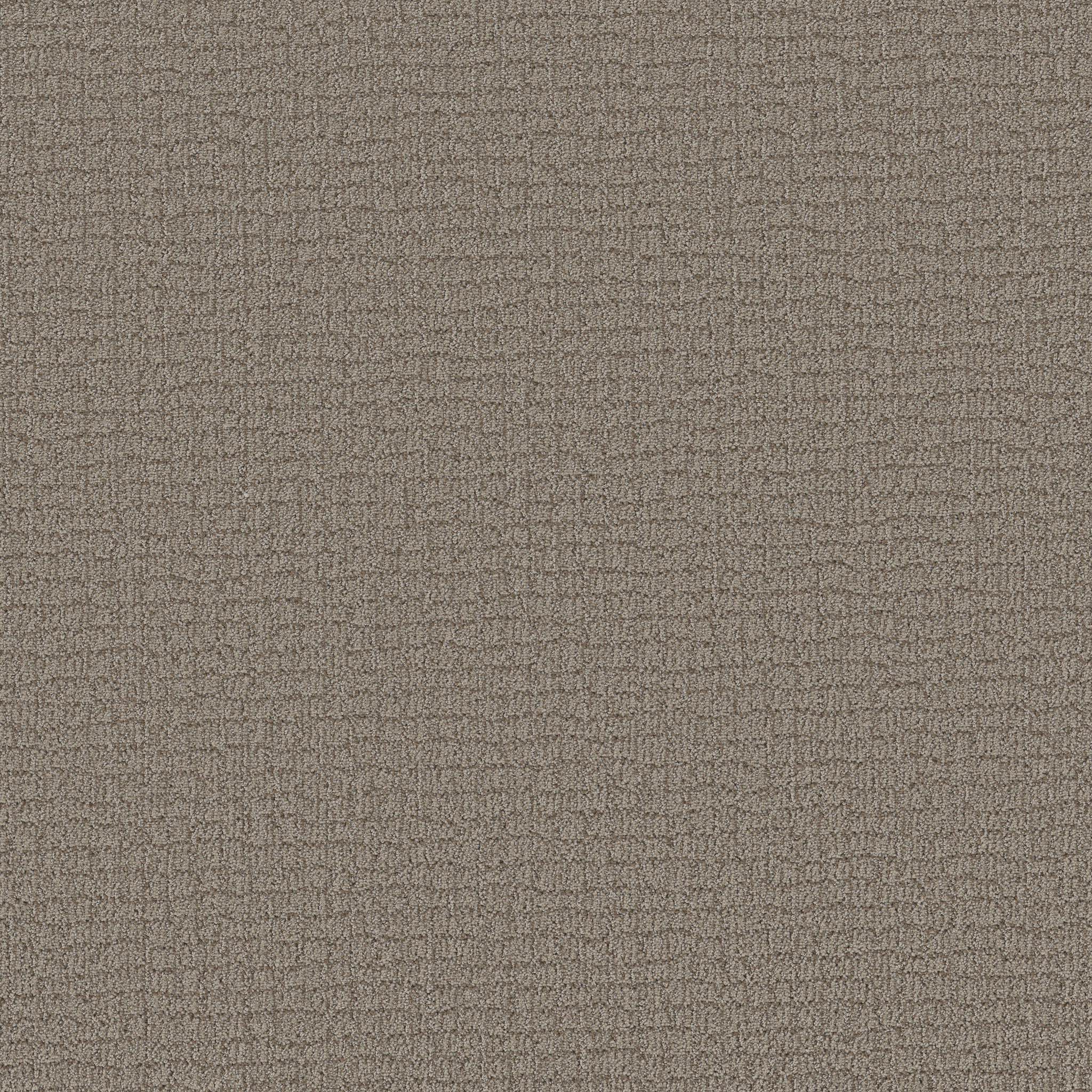 PATH HOME CHIC GREIGE MAIN