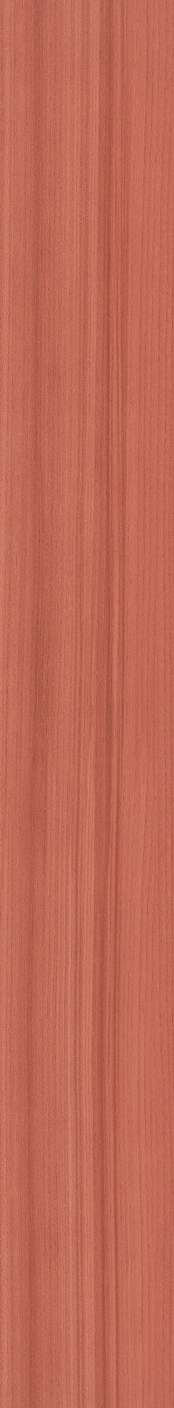 Coral, the manufacturer's video