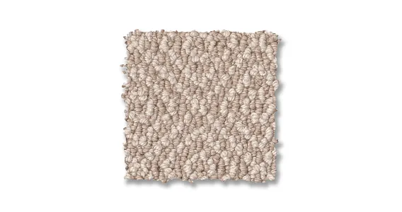 Mohawk Home & Office Classy Style Russet Textured Carpet Sample (Interior) Mohawk Home & Office Classy Style Russet Textured Carpet Sample (Interior)