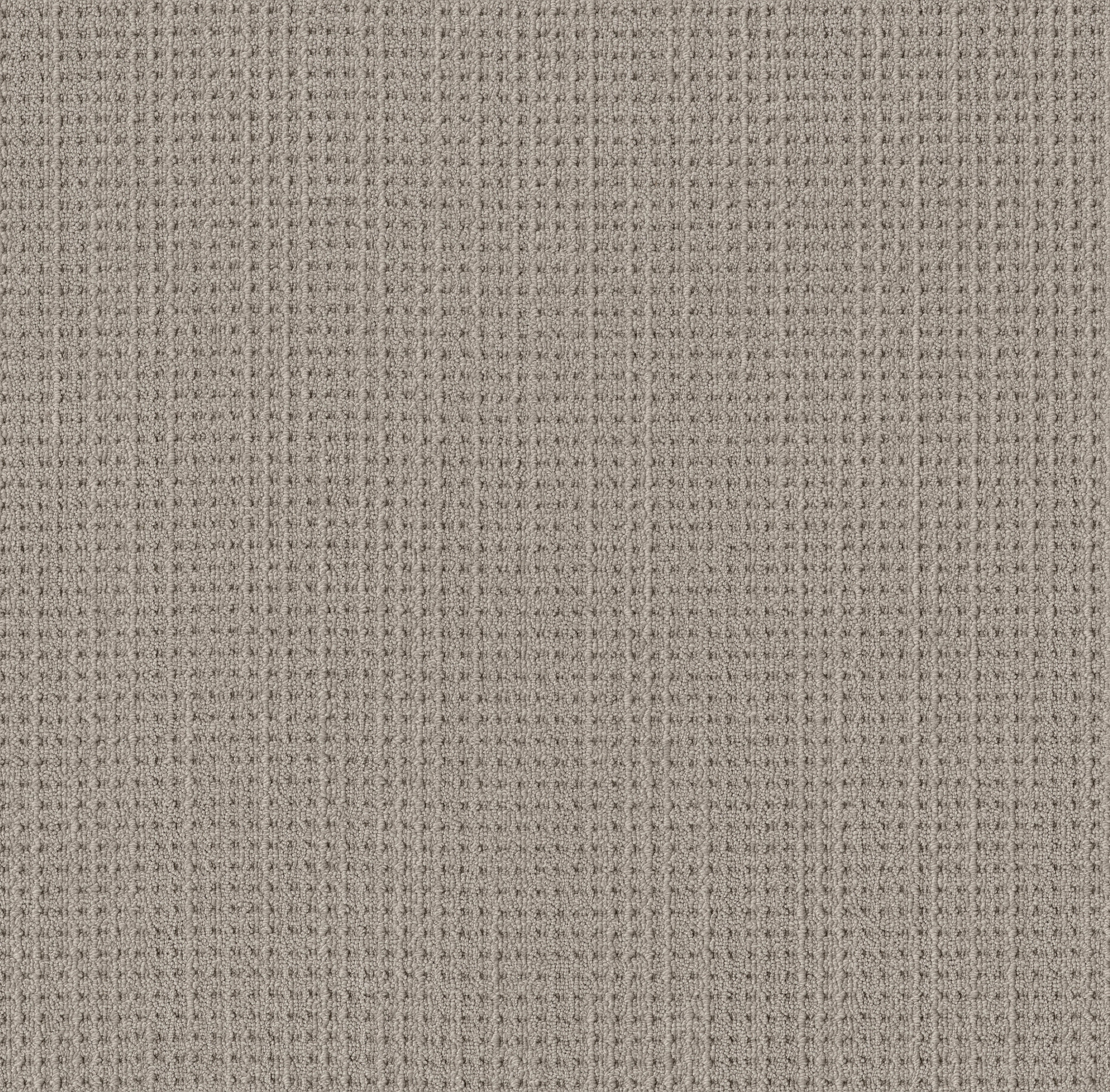 FINELY DETAILED WARM TAUPE MAIN