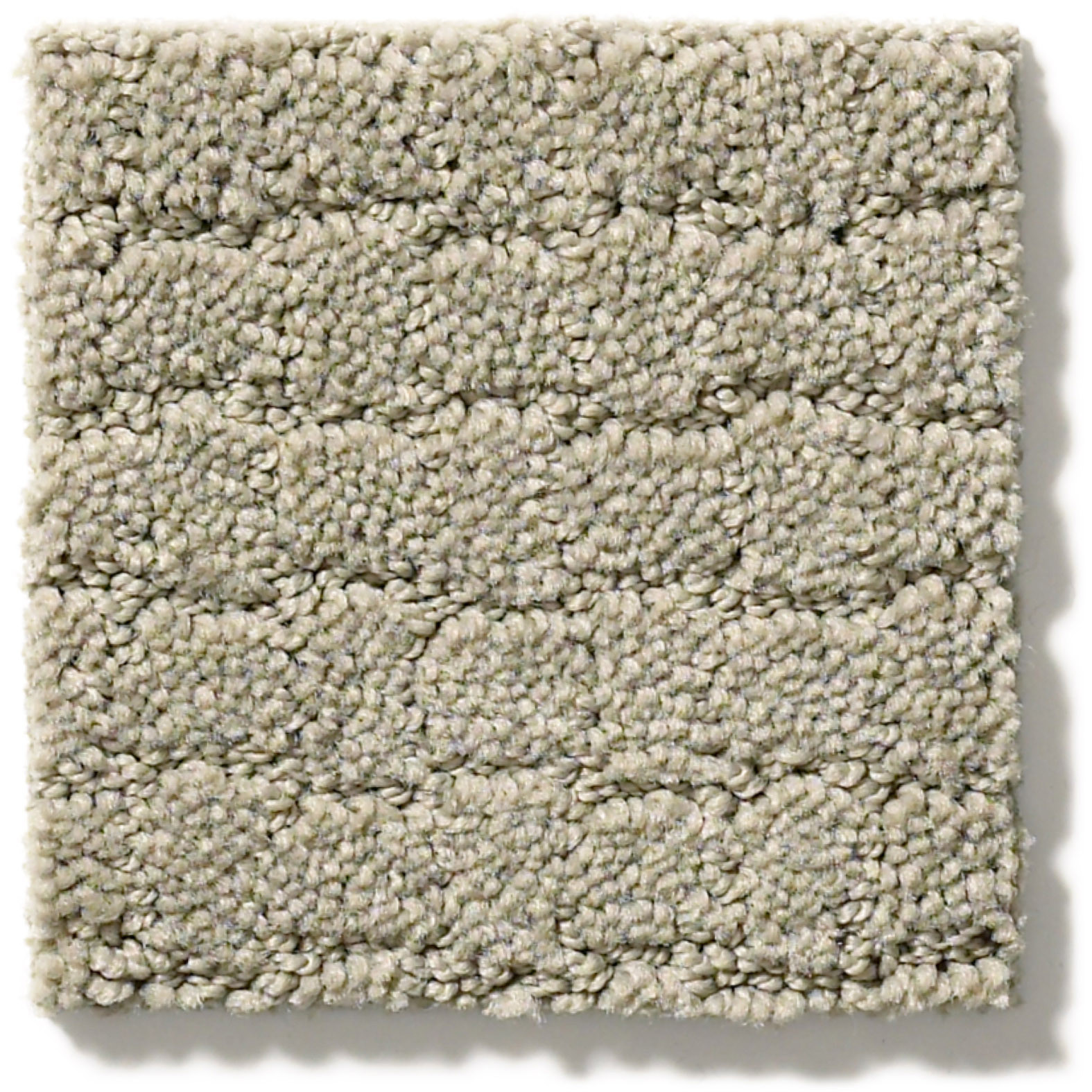 PAWSTRUCK GRAY MIRAGE SWATCH