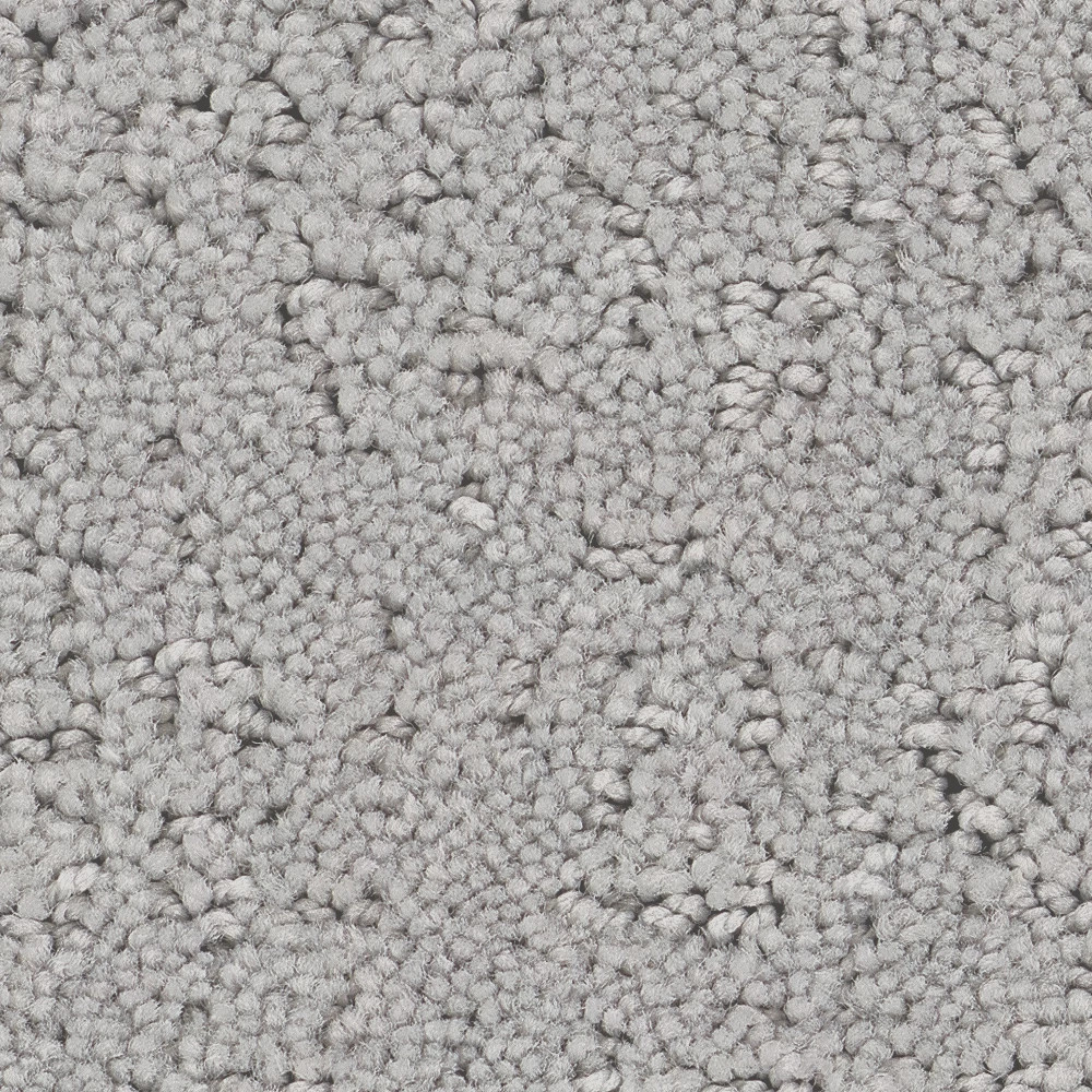 REFINED CANVAS POLISHED SILVER SWATCH