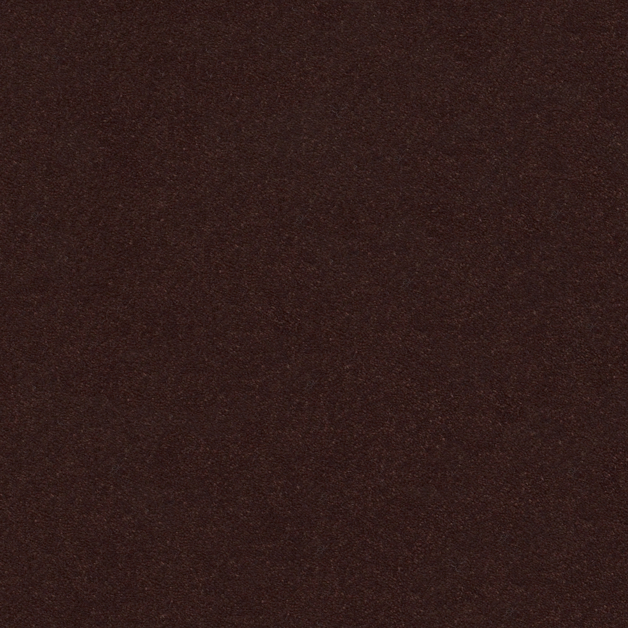 PERFECT CHOICE ROOT BEER MAIN