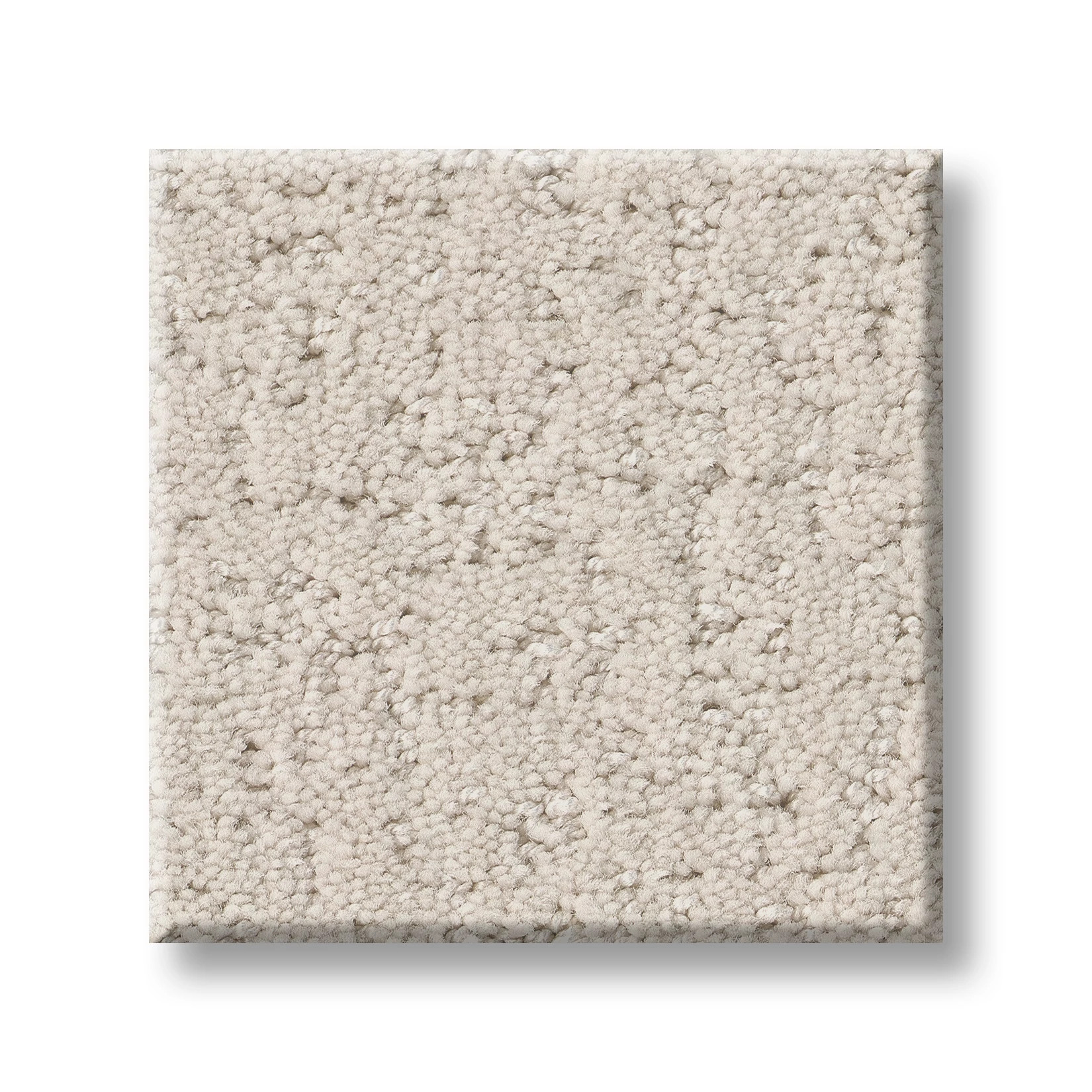 CANVAS COMFORT CHAMPAGNE TOAST SWATCH