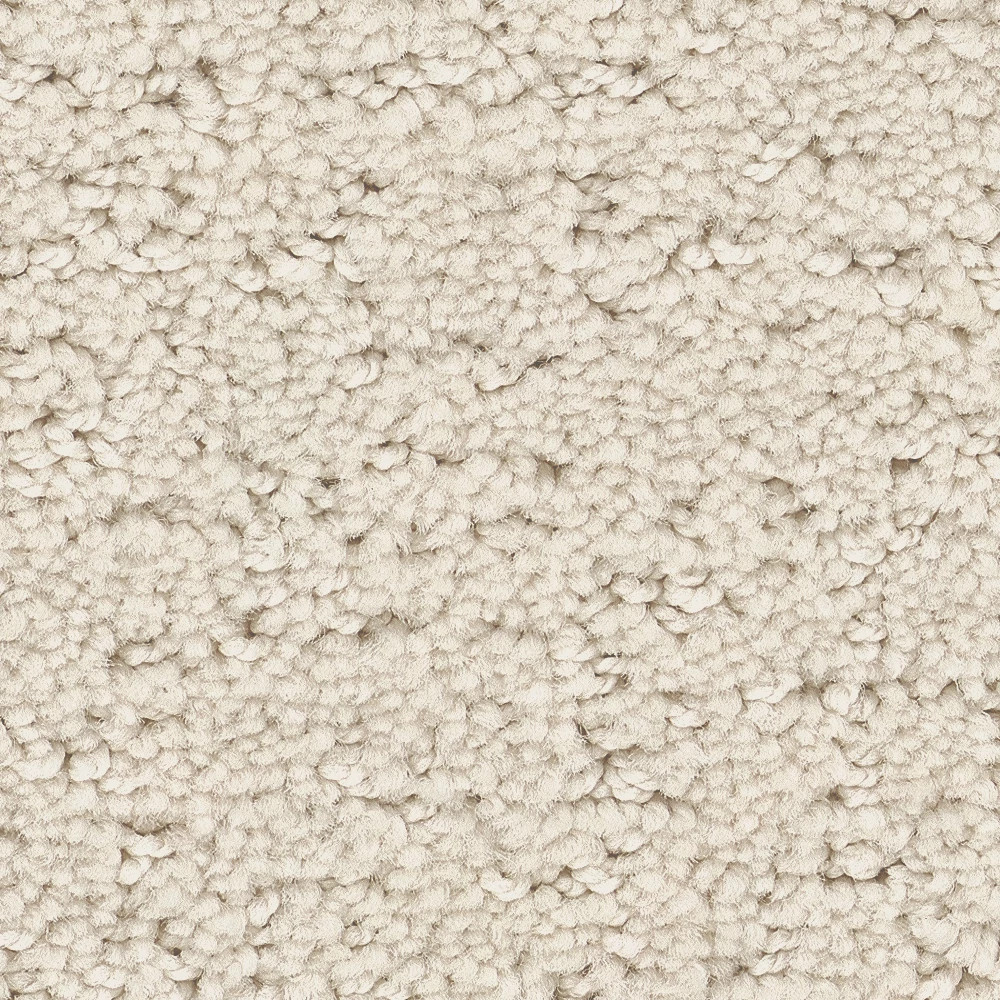 REFINED CANVAS CHAMPAGNE TOAST SWATCH