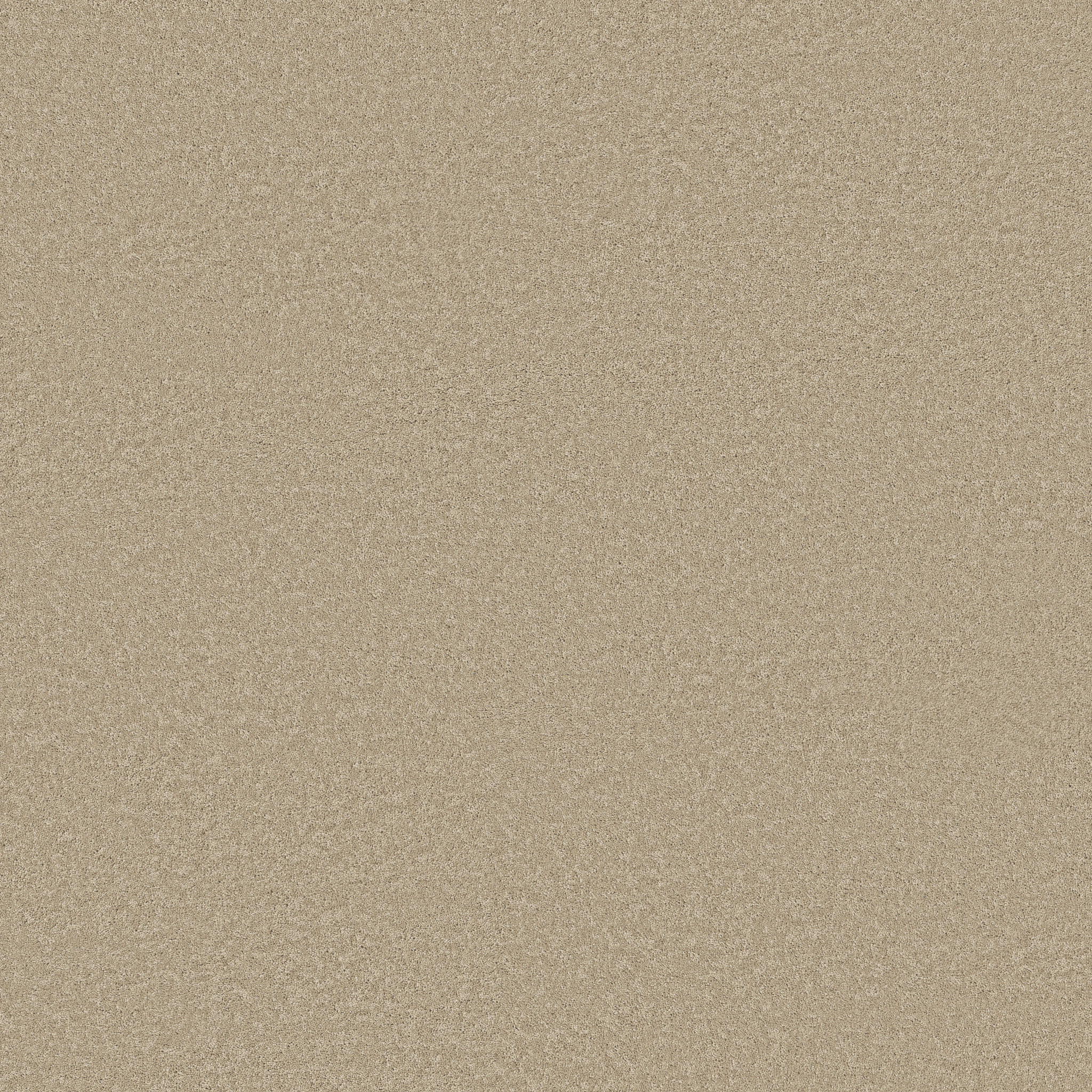 SMOOTH TONE SAFARI MAIN