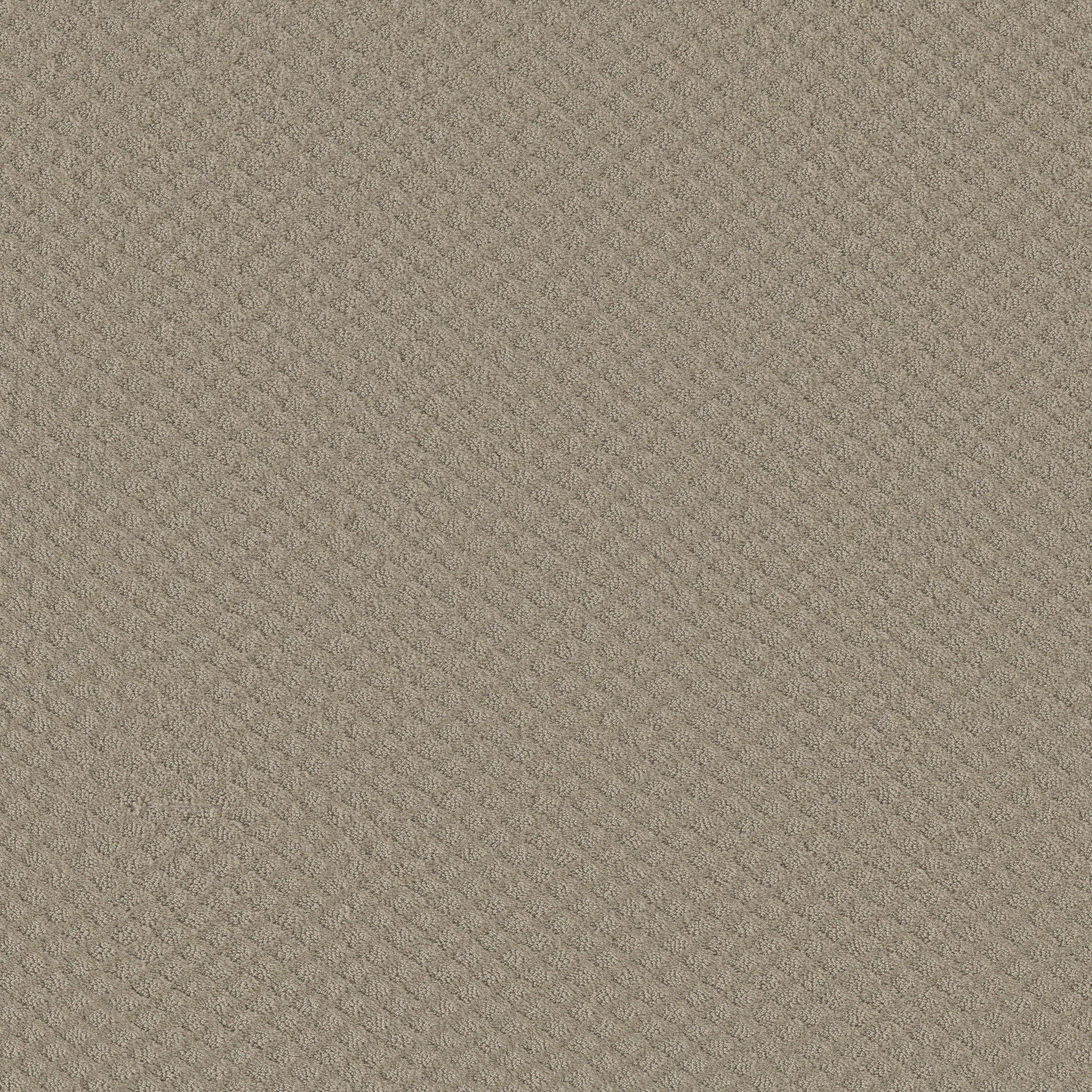 ENTWINED WITH YOU PARK AVENUE MAIN