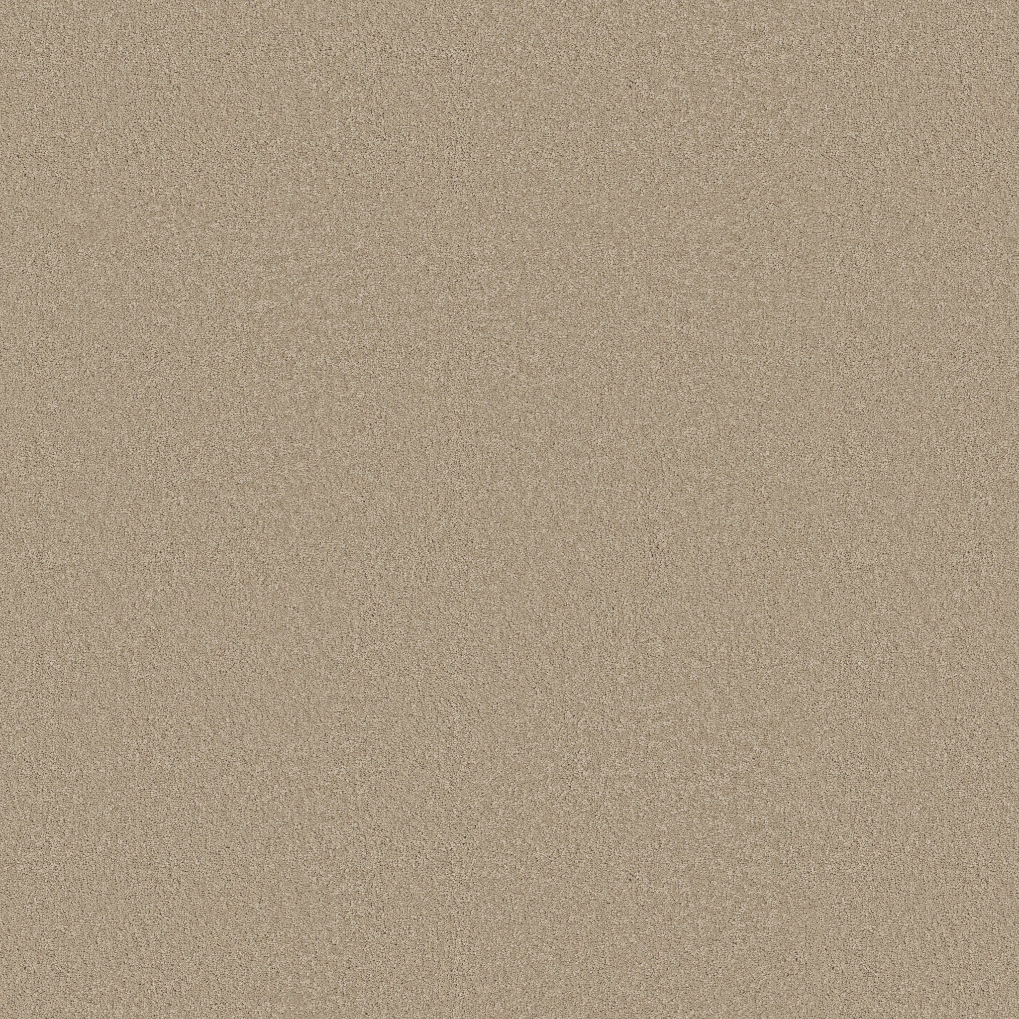 SHINGLE CREEK I 12 OATMEAL MAIN