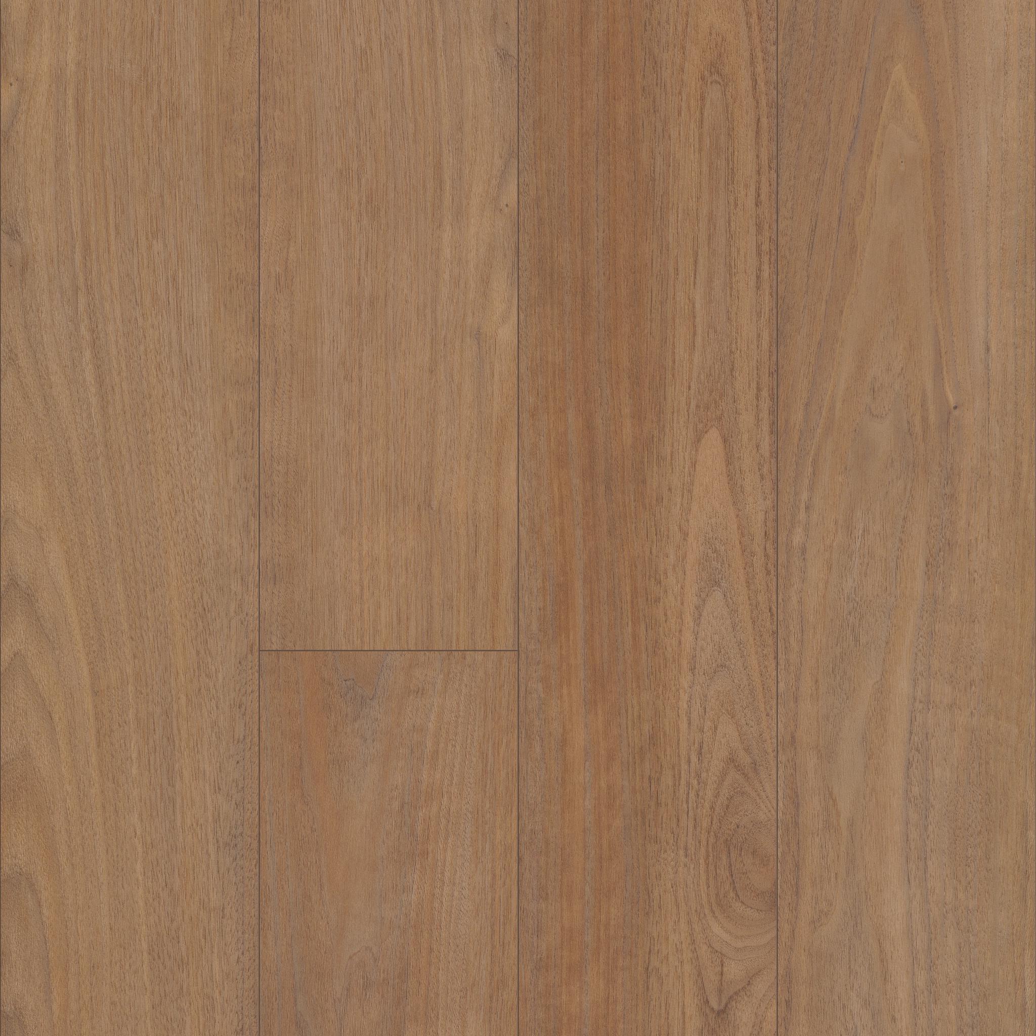 COREtec Originals Premium VV458 by COREtec
