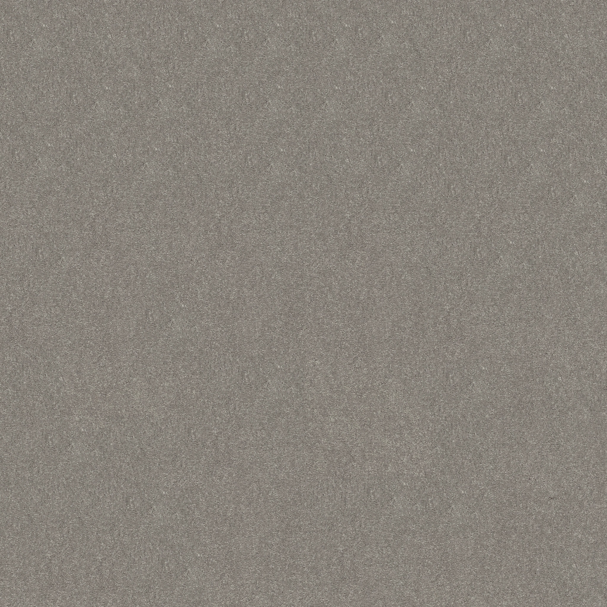 WELL GROUNDED I 12 TAUPE STONE MAIN