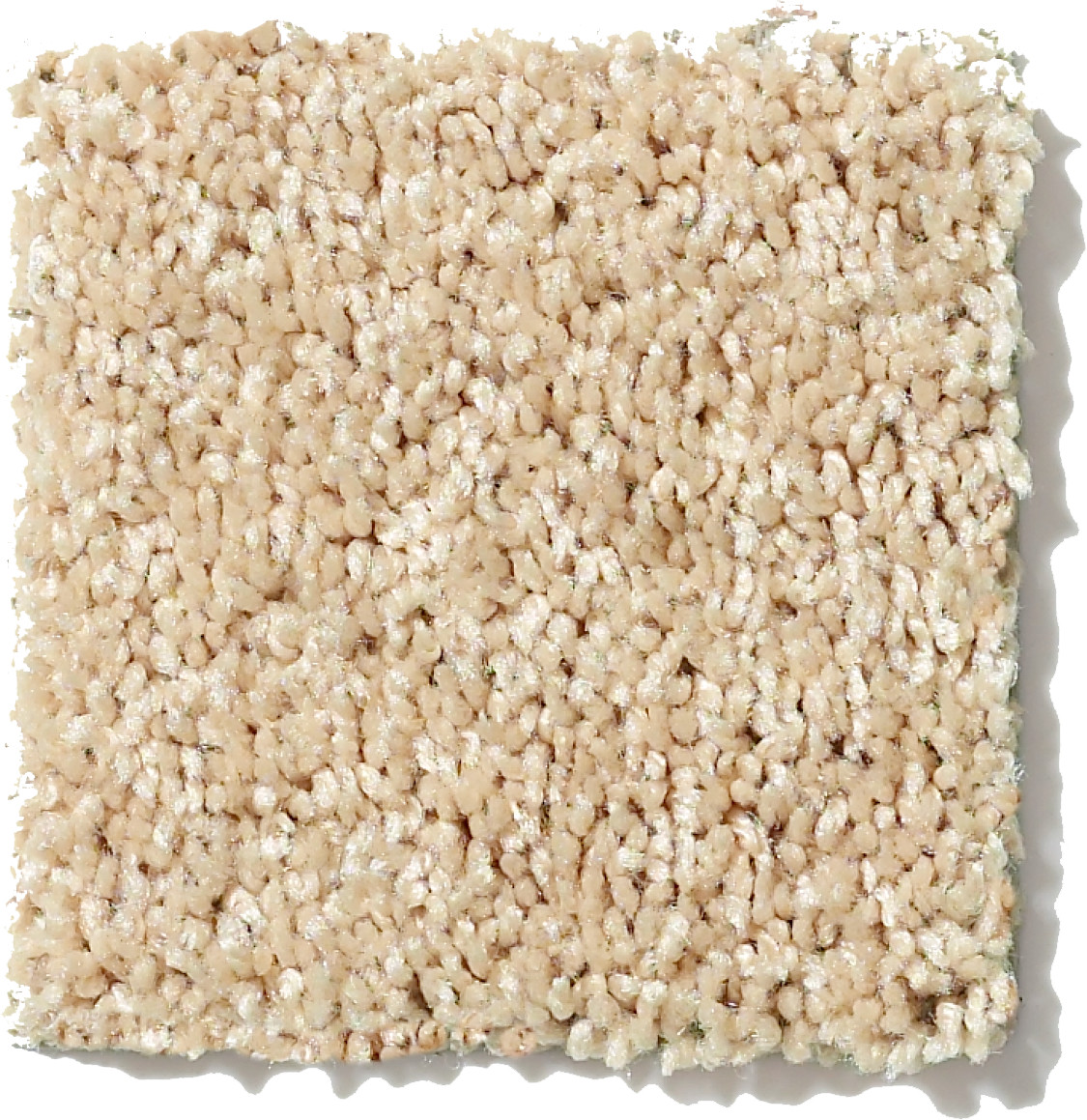 UNION CITY III 15' CRUMPET SWATCH