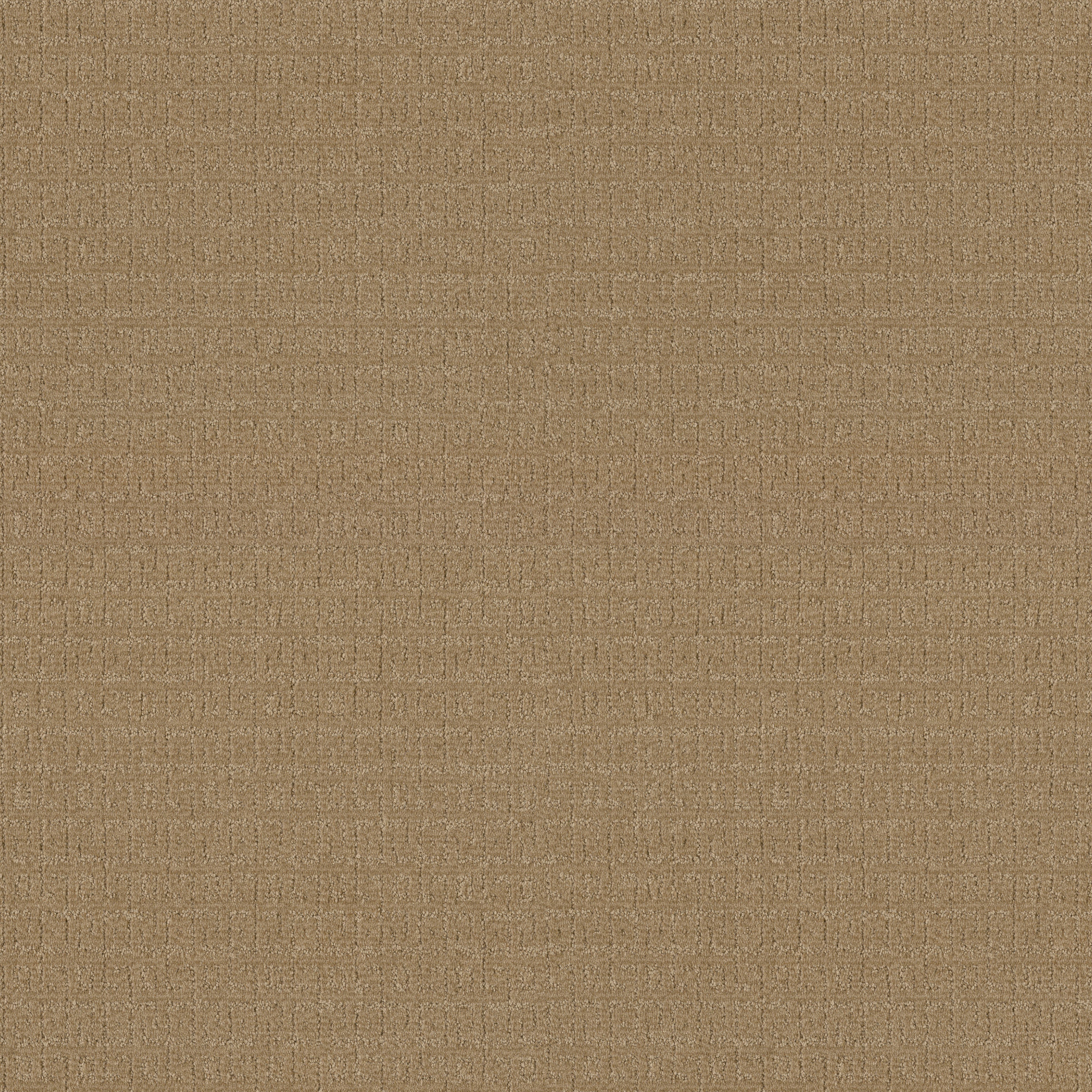 VIGNETTE HONEYCOMB MAIN