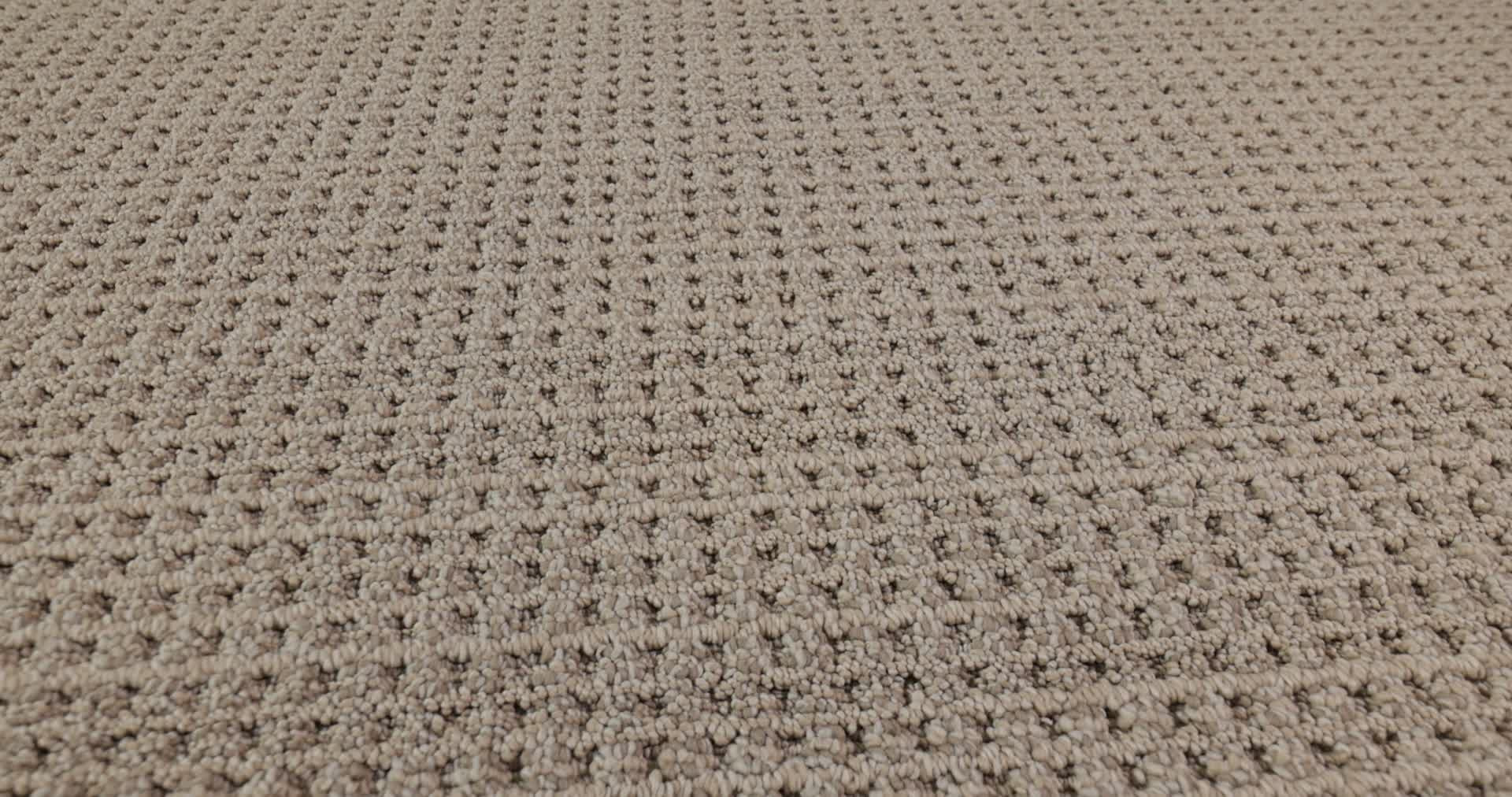 FINELY DETAILED BASKETRY 360PROD