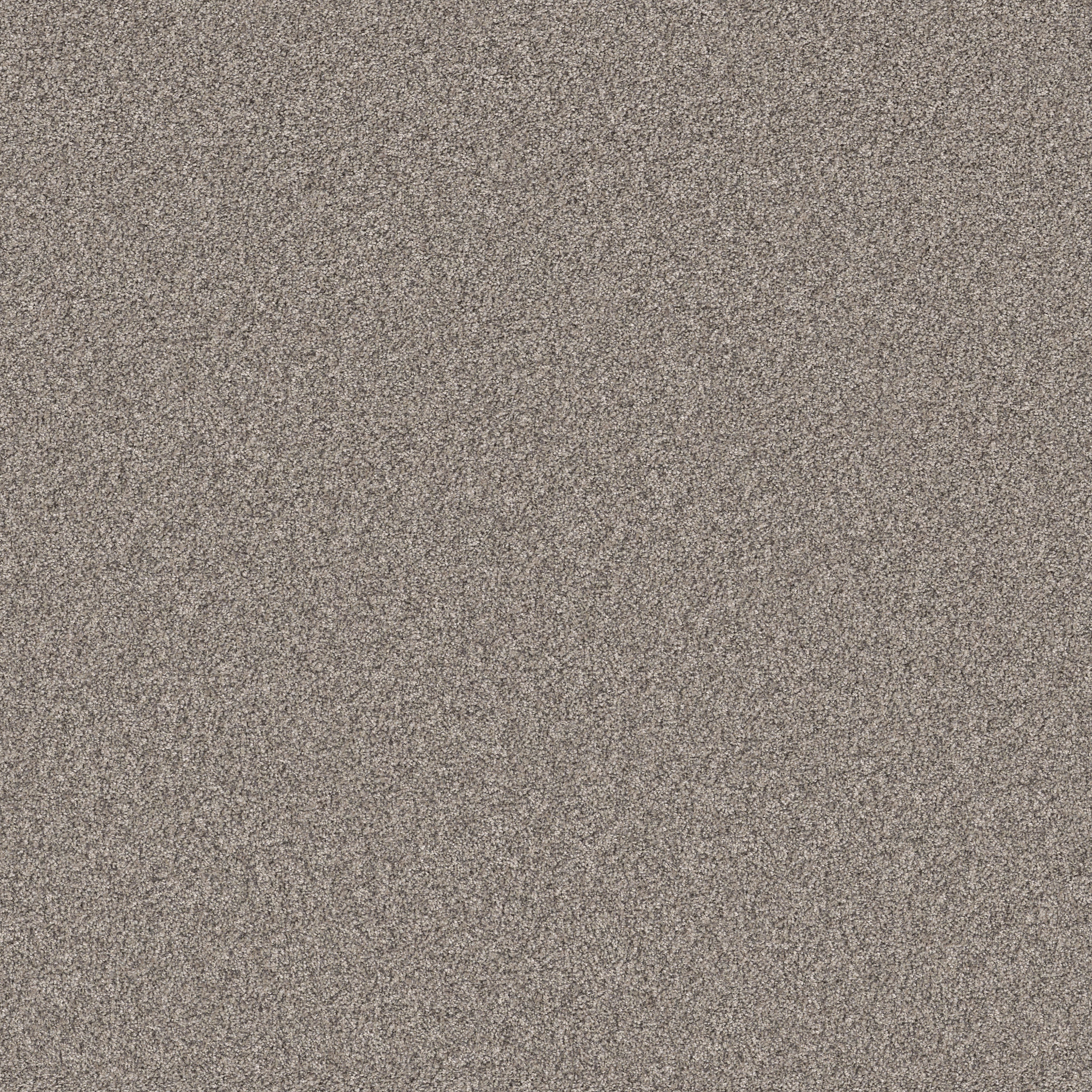 ARTISTIC FUSION I WARM LIGHT MAIN