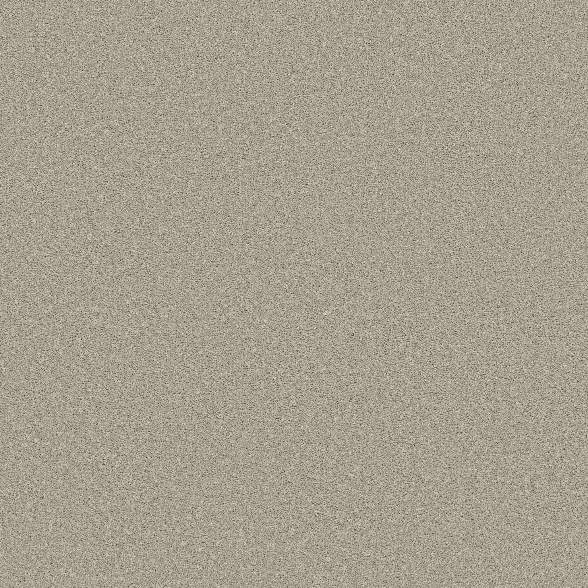 TRUSOLUTIONS II BLEACHED OAK MAIN