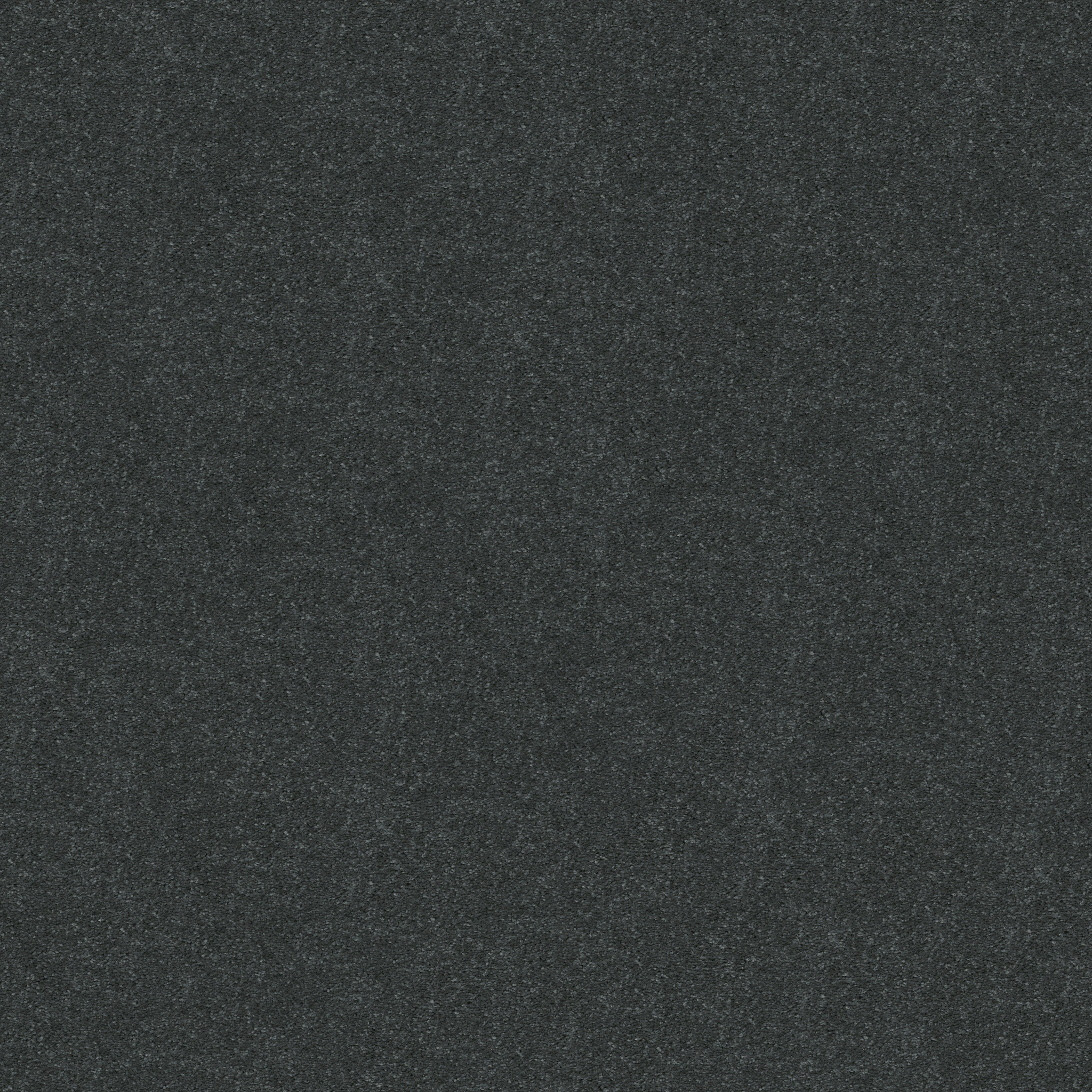 BEAUTIFULLY SIMPLE I 12 DENIM DAYS MAIN