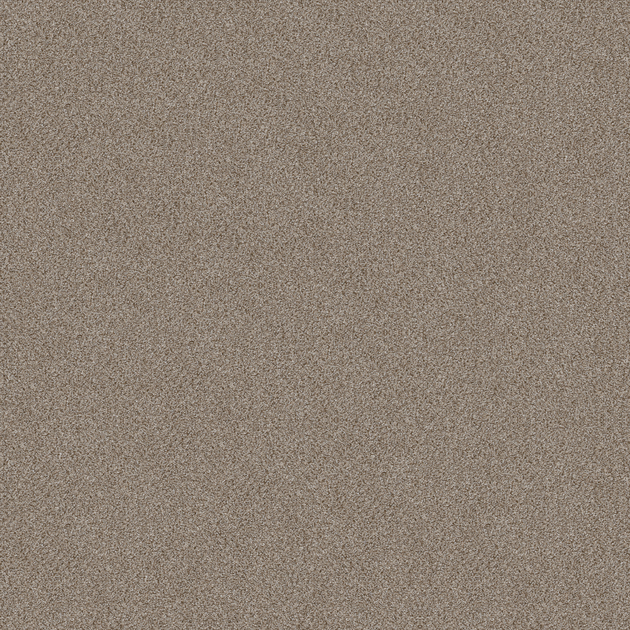 TruSplendor TIMELESS TAN MAIN