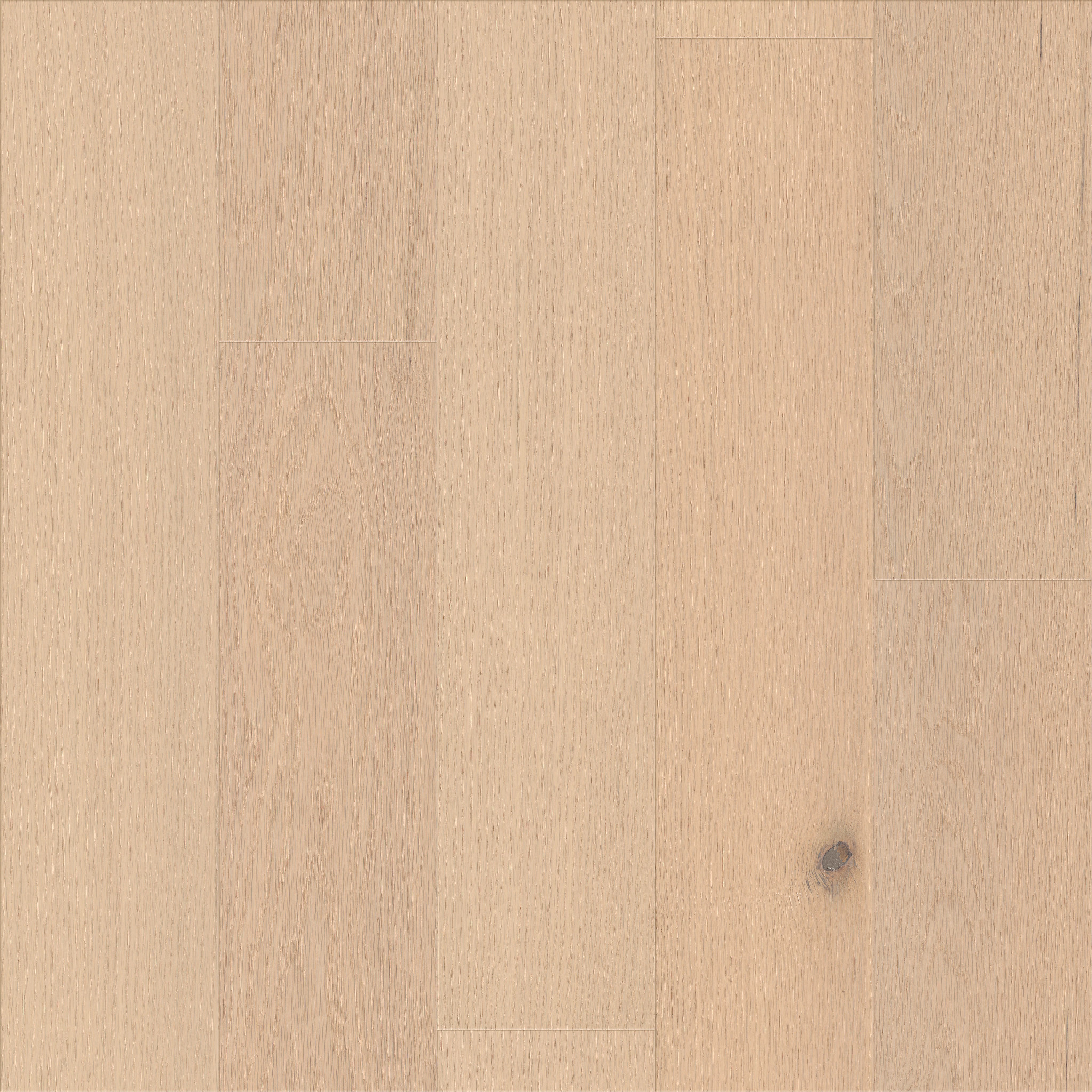 SANCTUARY OAK SERENITY MAIN