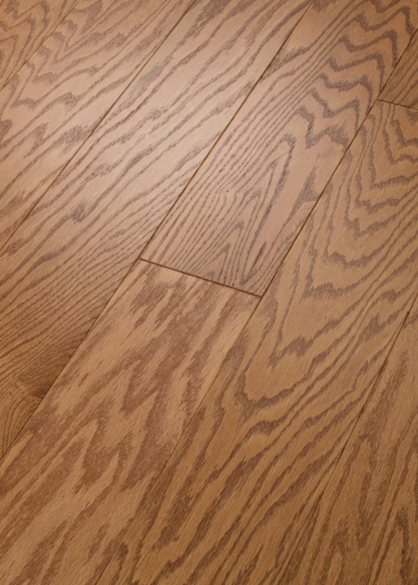 ALBRIGHT OAK 5 CARAMEL ANGLED