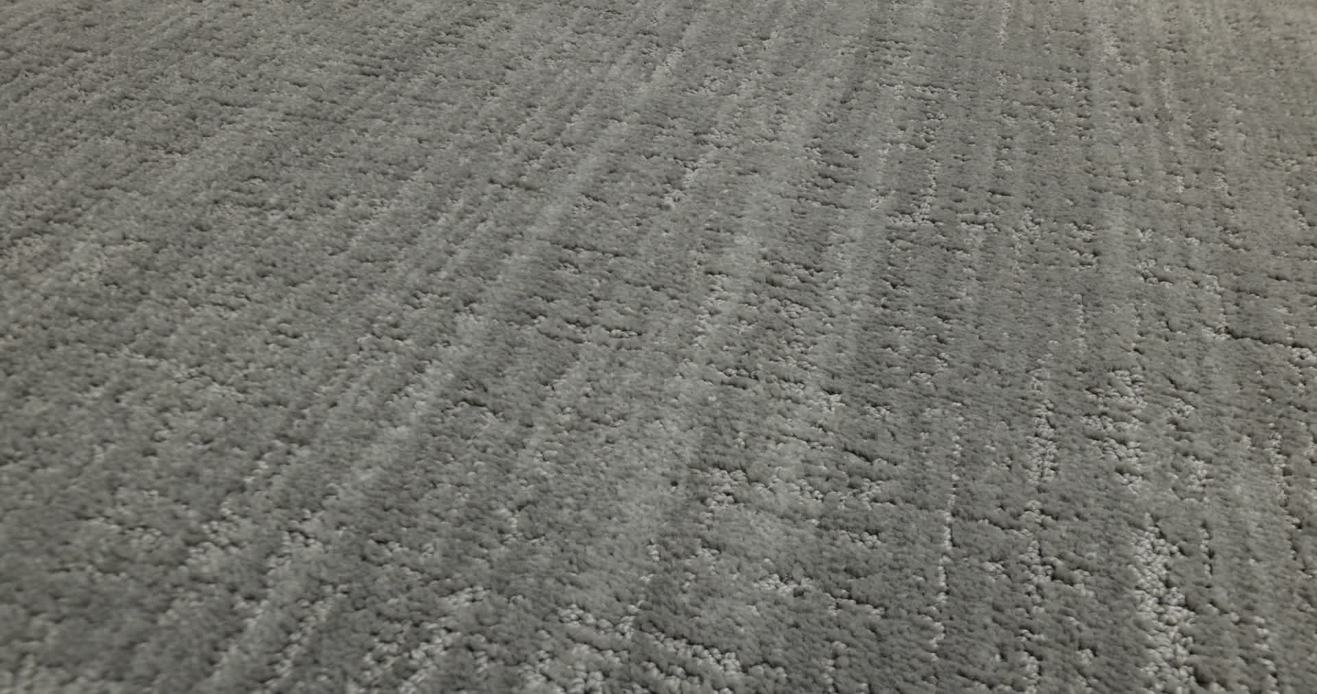 SHADY STROLL SHEER TAUPE 360PROD