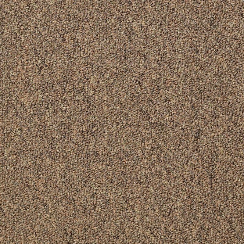 Capital III Berber Loop Broadloom Carpet in Influential color, 12ft wide, 100% nylon material