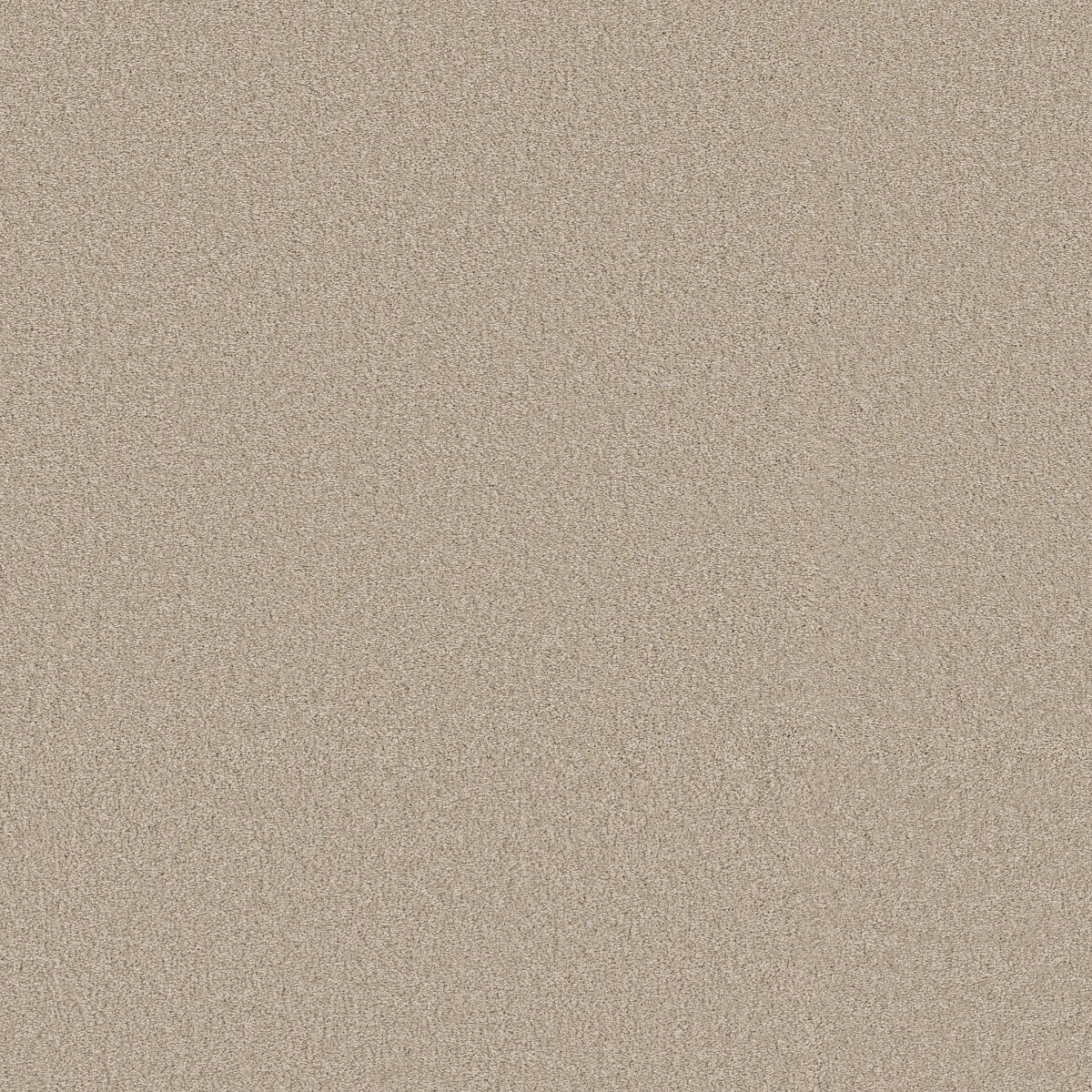 Shaw Floors WAY TO GO II — ADOBE SAND