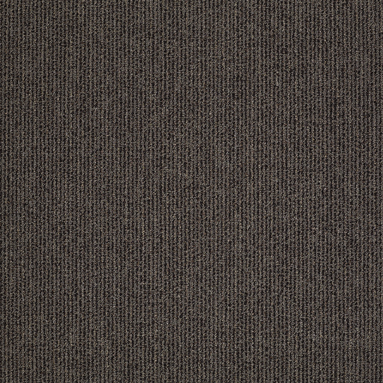 STEP-ON-IT-54587-MOVE-ALONG-87504-main-image