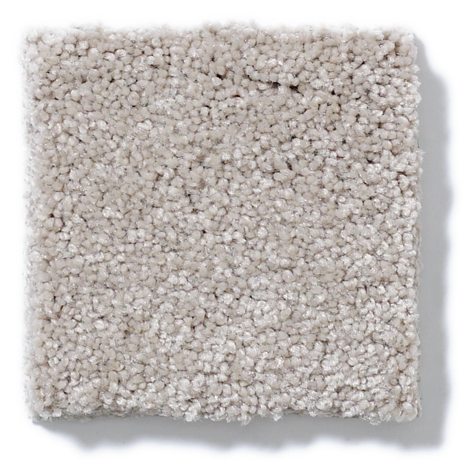 BEAUTIFULLY SIMPLE GREIGE SWATCH