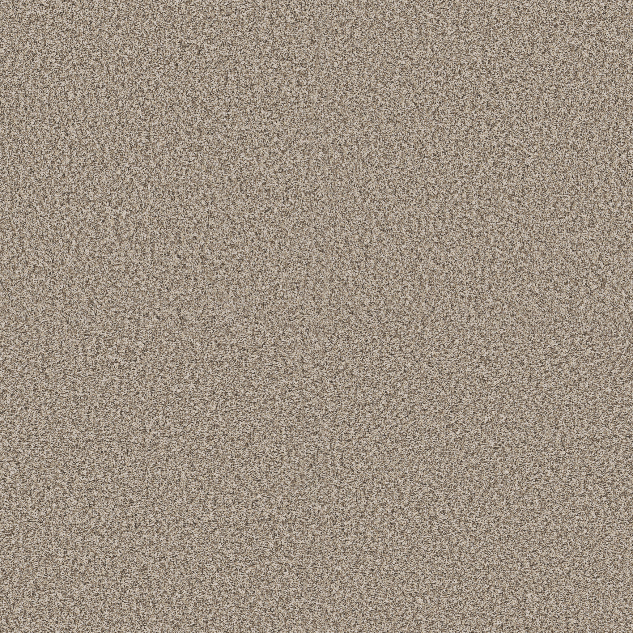 YES YOU CAN I 12' NATURAL MAIN