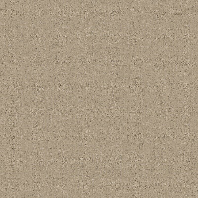 Studio Plaza Broadloom Carpet in Fallen Acorn, 12ft wide, 100% Polyester material