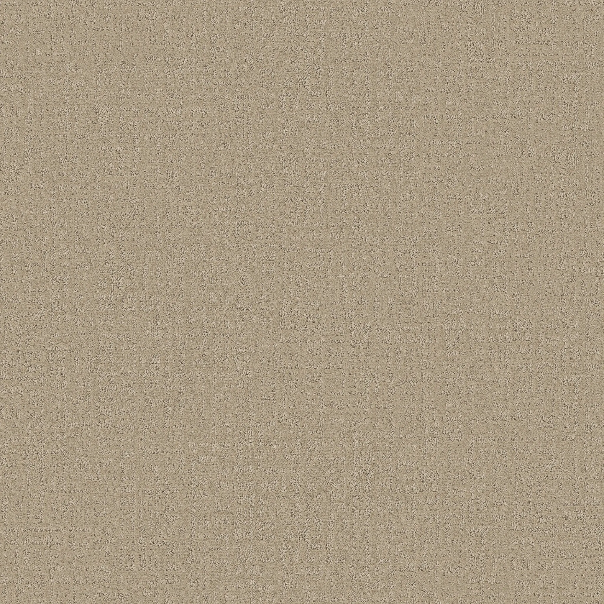 Beige patterned carpet swatch showcasing a textured design for a cozy and durable home flooring option