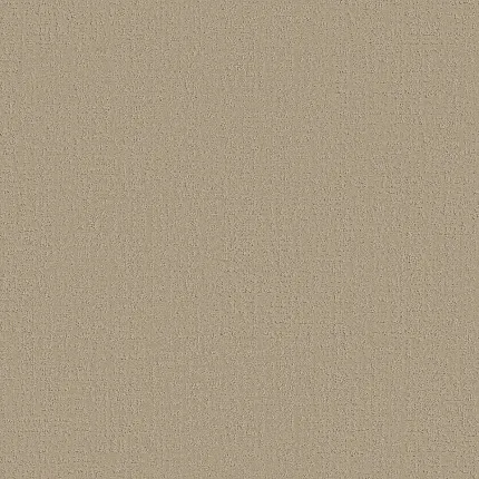 Beige Patterned Carpet - Durable and Cozy Home Flooring Beige patterned carpet swatch showcasing a textured design for a cozy and durable home flooring option